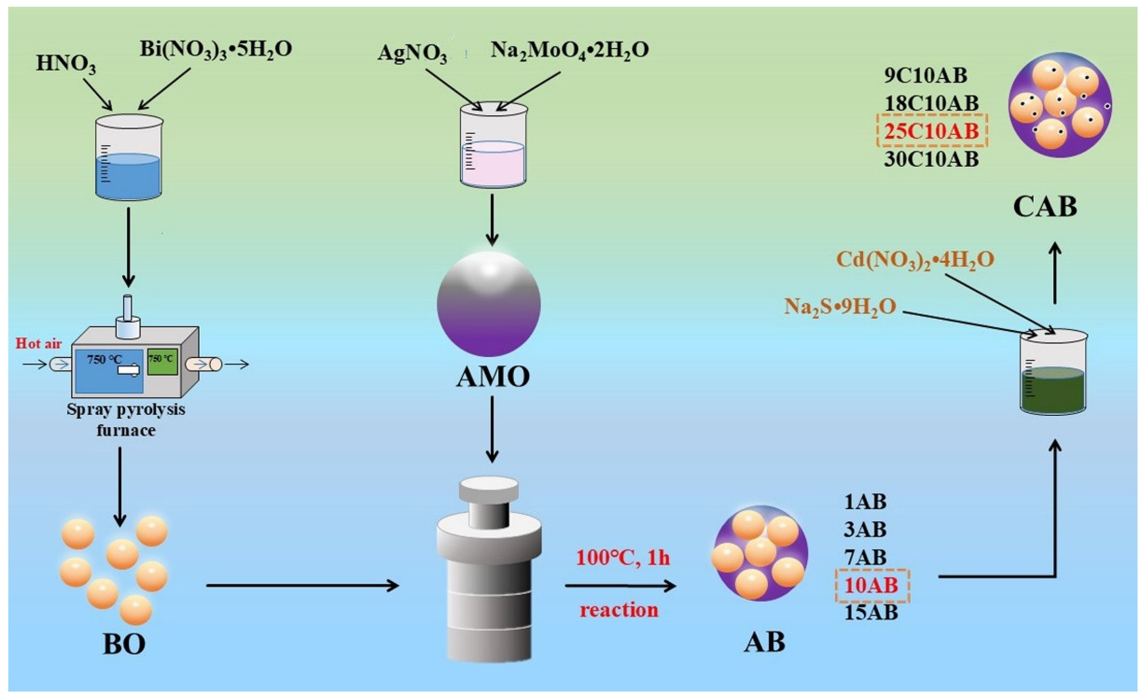 Catalysts 15 00438 g013