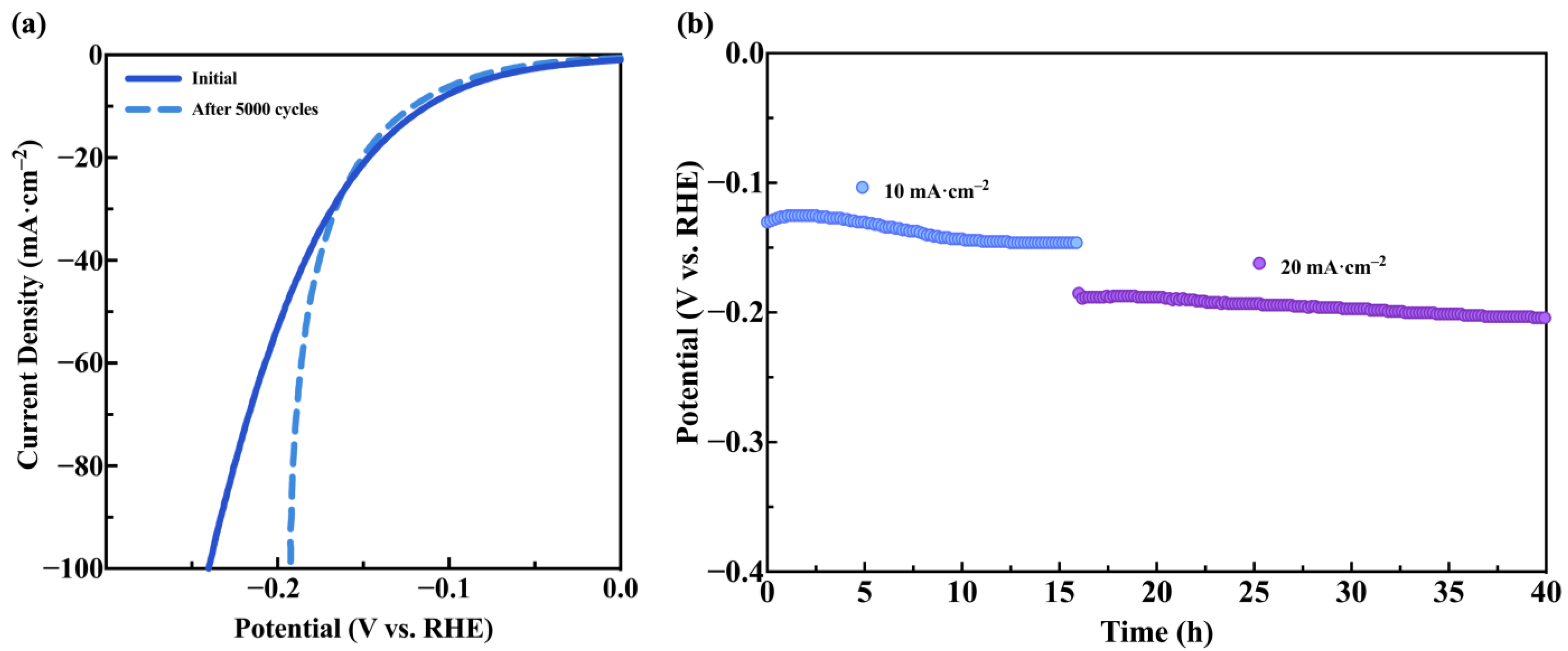 Catalysts 15 00439 g006