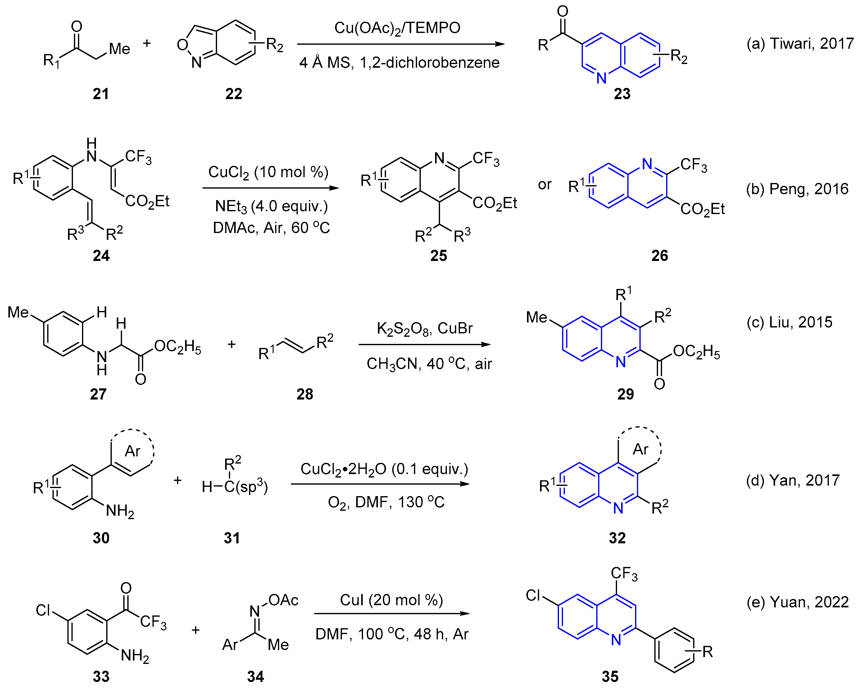 Catalysts 15 00441 sch004