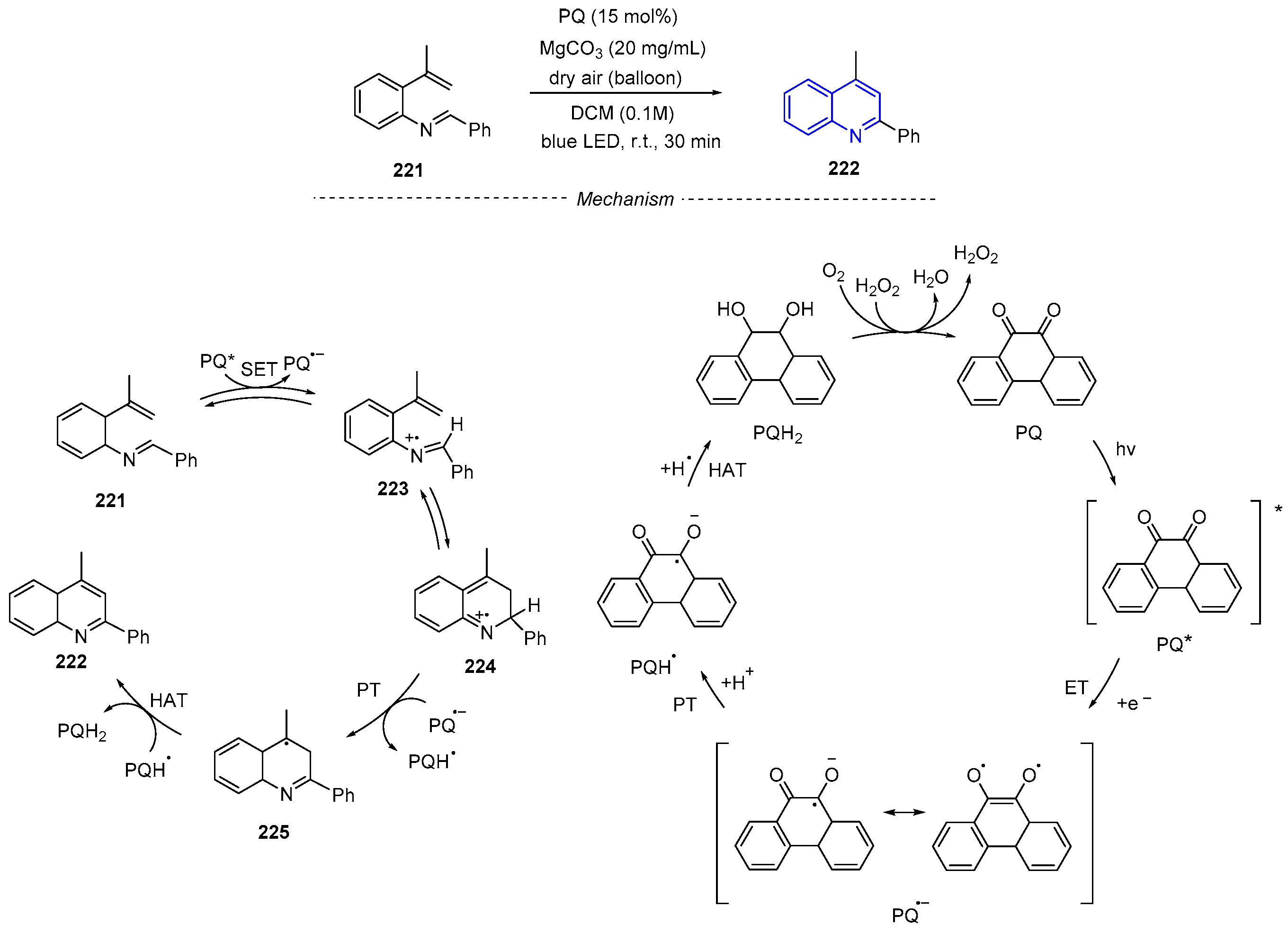 Catalysts 15 00441 sch036