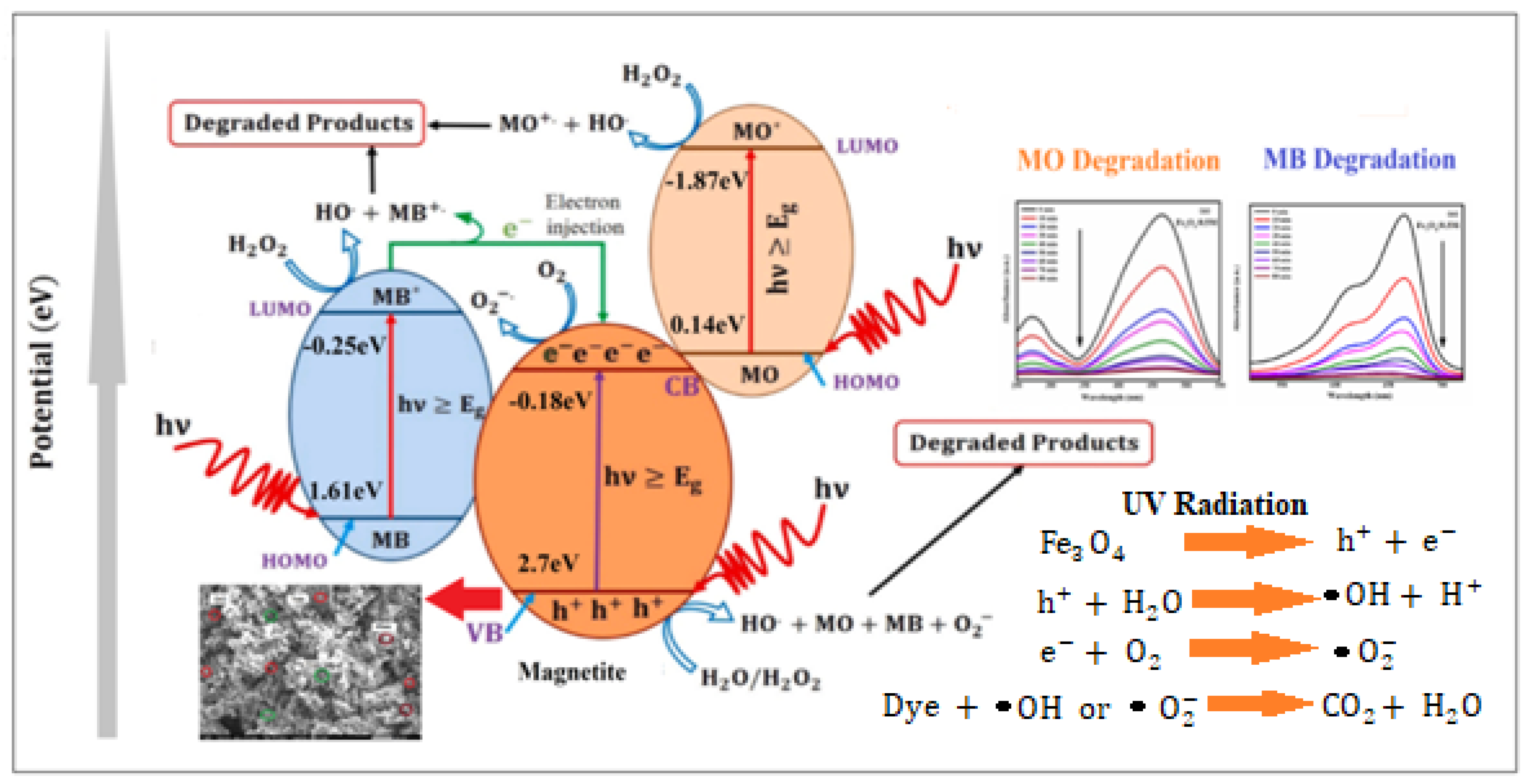 Catalysts 15 00444 g013