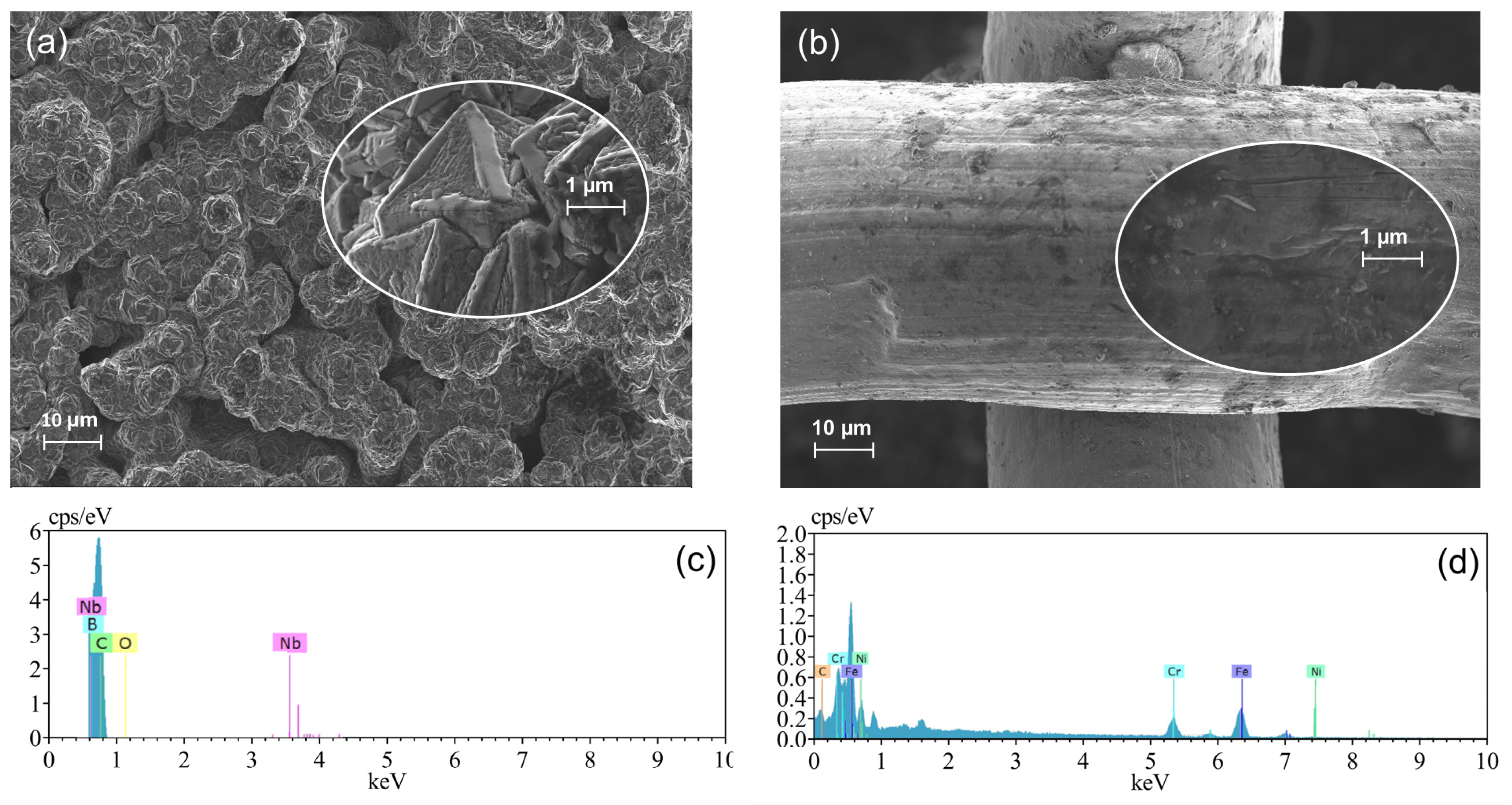 Catalysts 15 00447 g001
