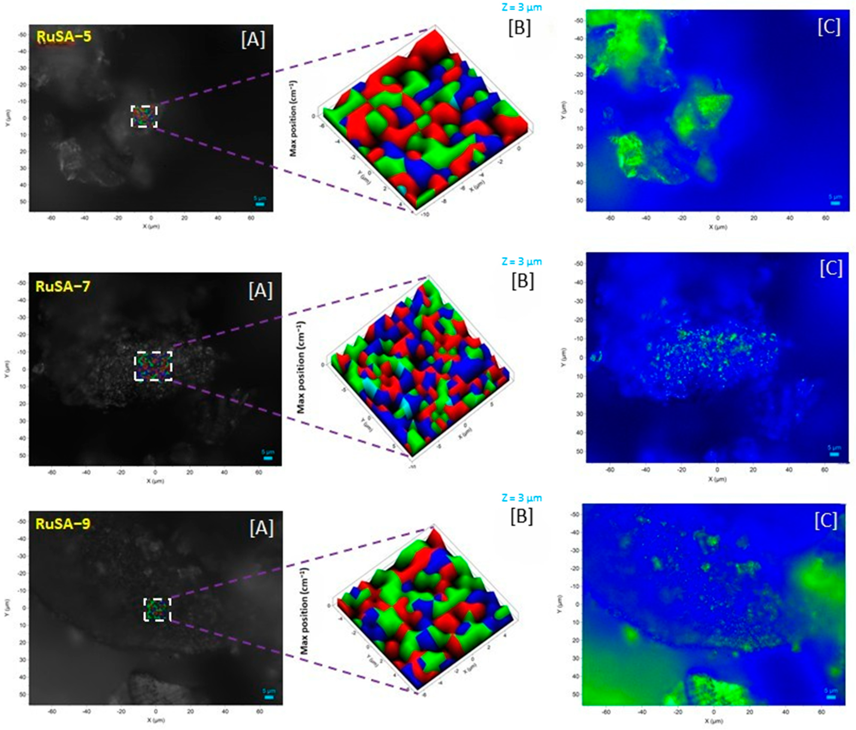 Catalysts 15 00449 g002