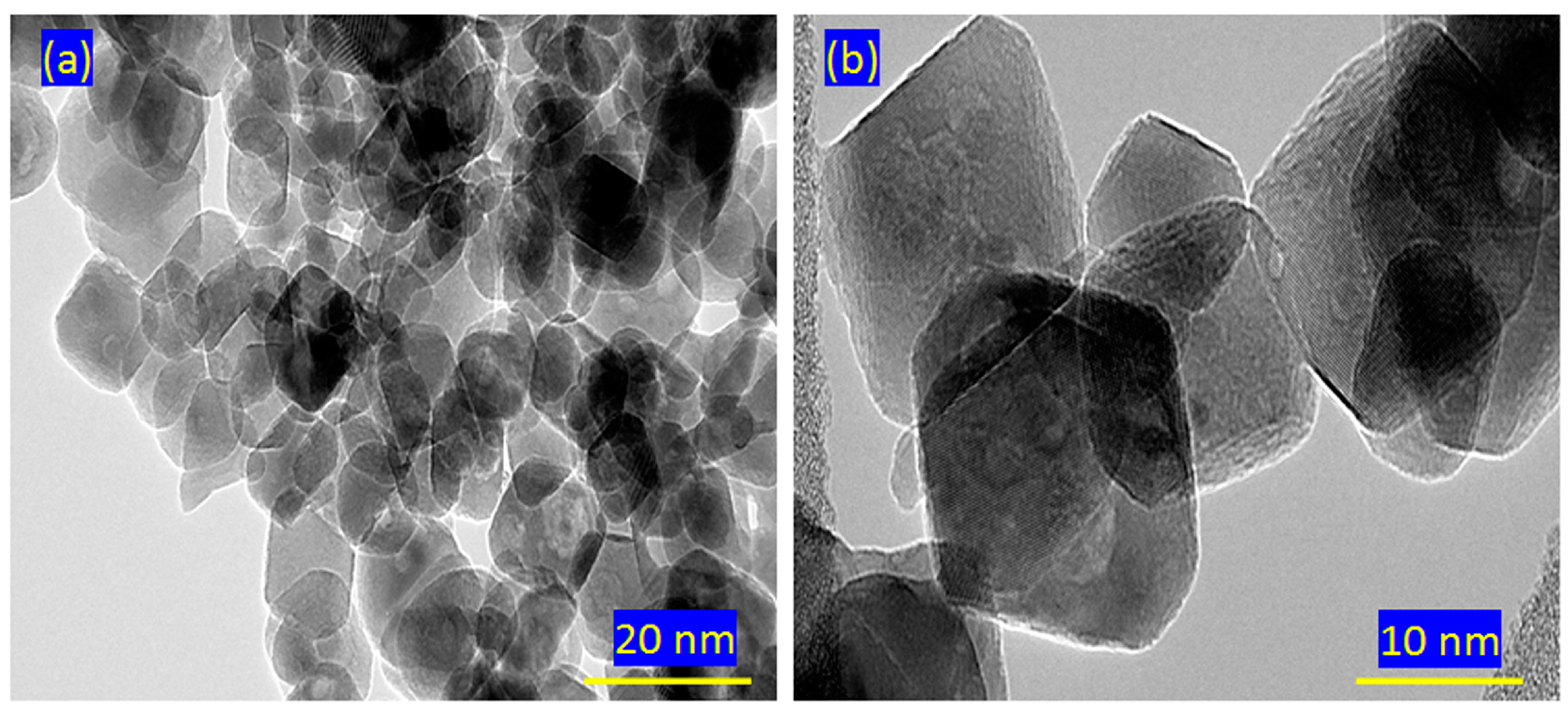 Catalysts 15 00452 g002