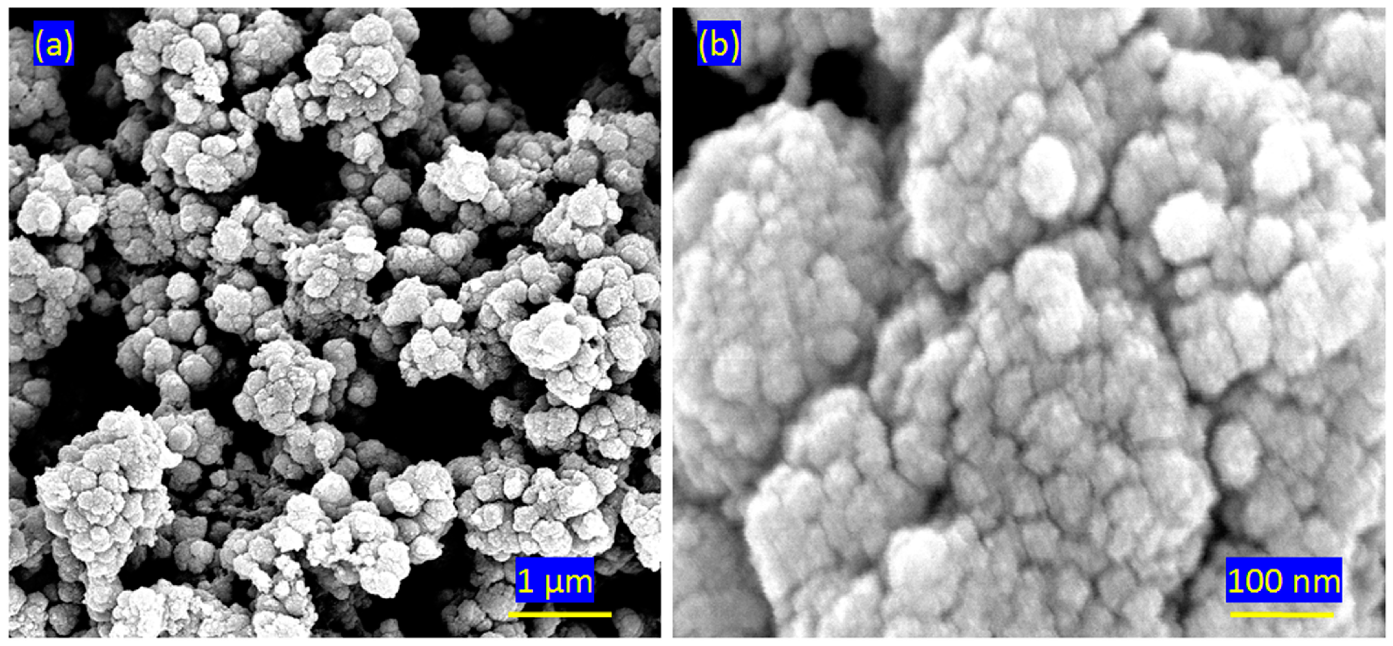 Catalysts 15 00452 g003