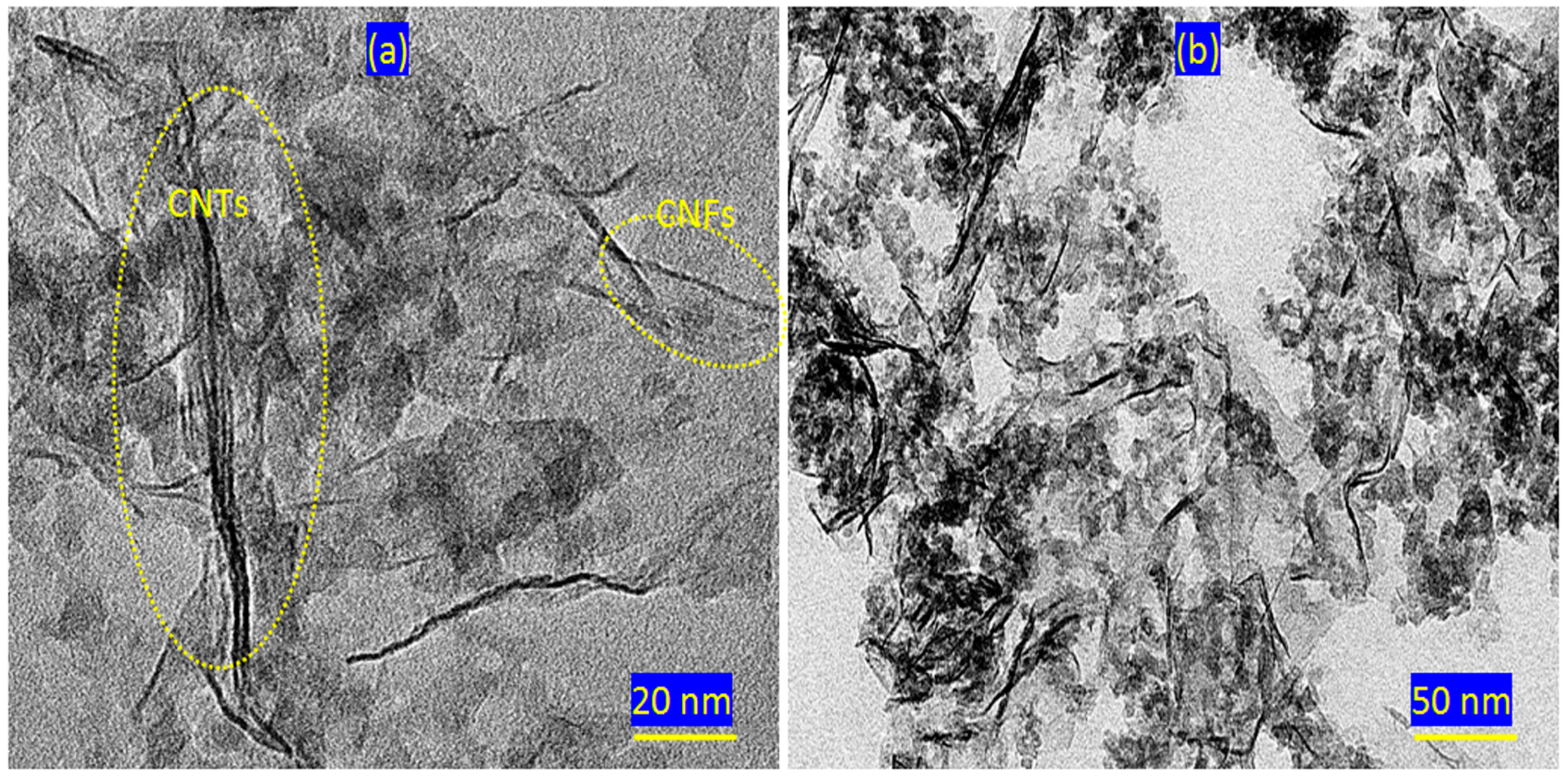 Catalysts 15 00452 g004