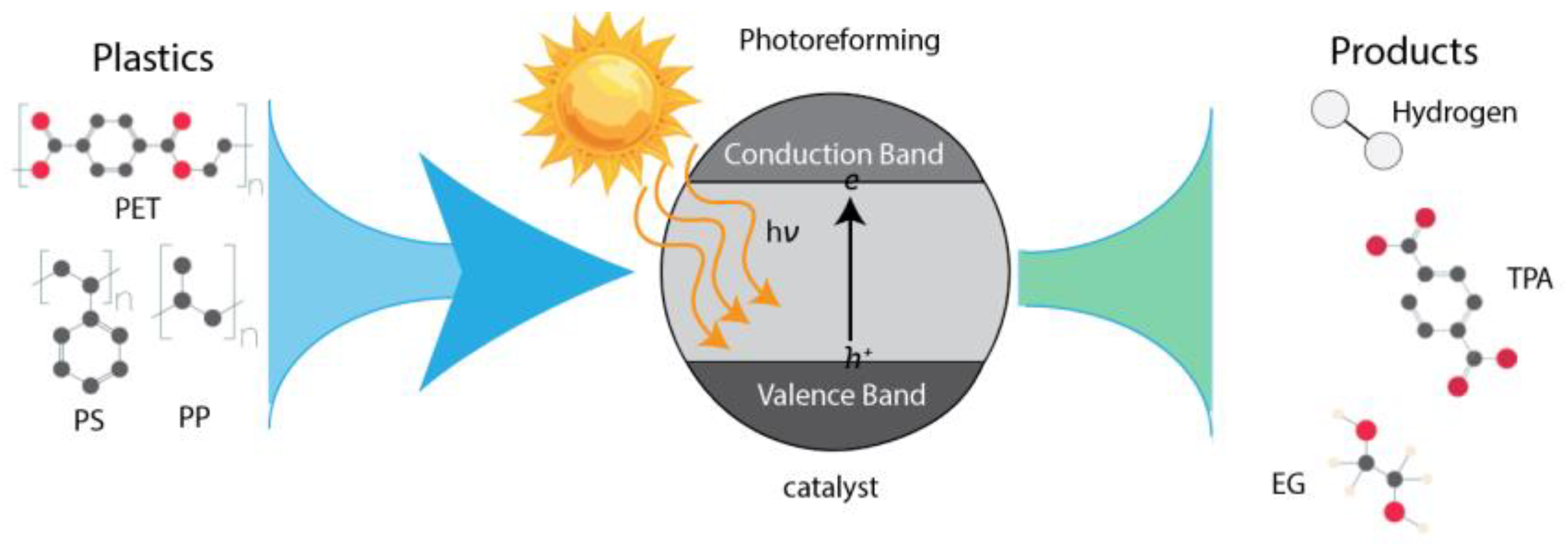 Catalysts 15 00453 g005