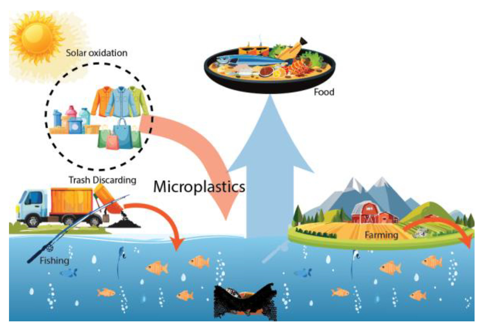 Catalysts 15 00453 g010