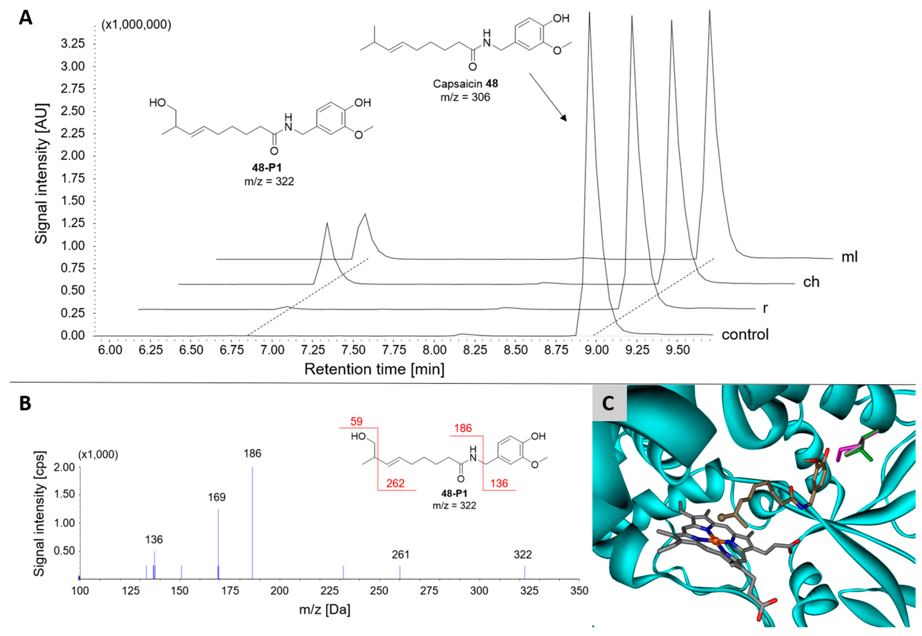 Catalysts 15 00454 g008