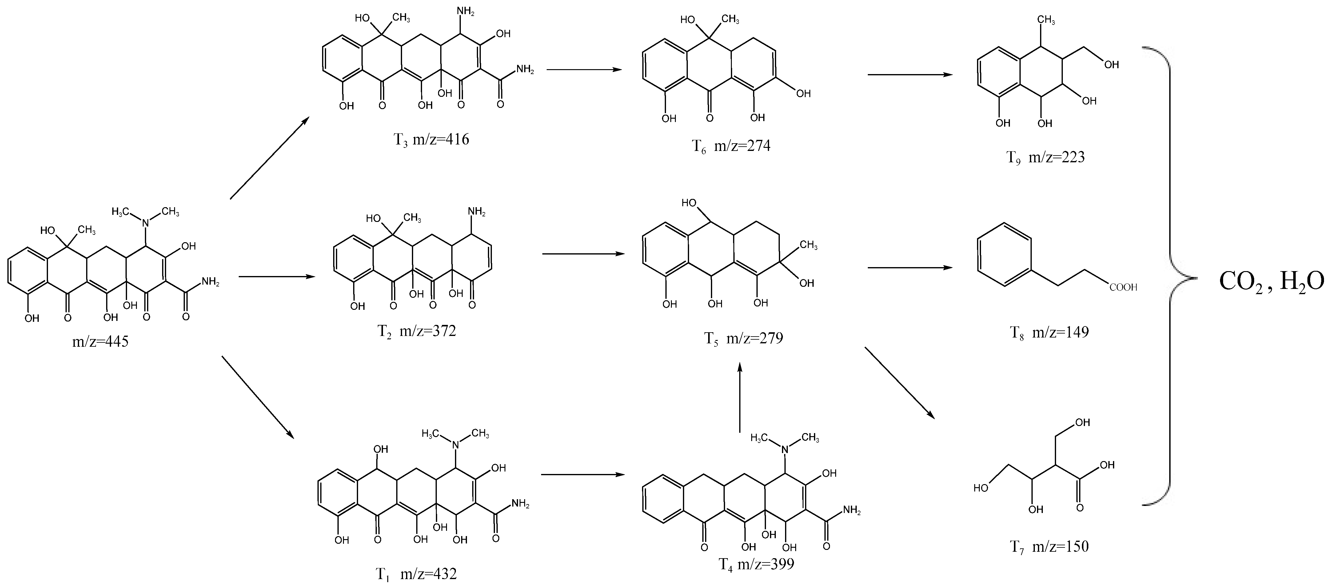 Catalysts 15 00458 g008