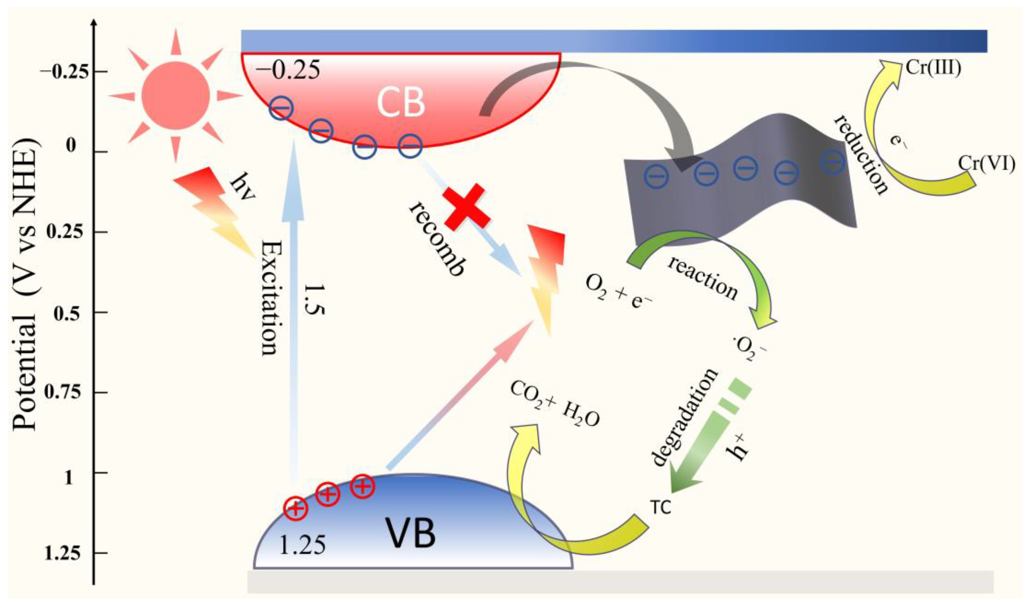 Catalysts 15 00458 g009
