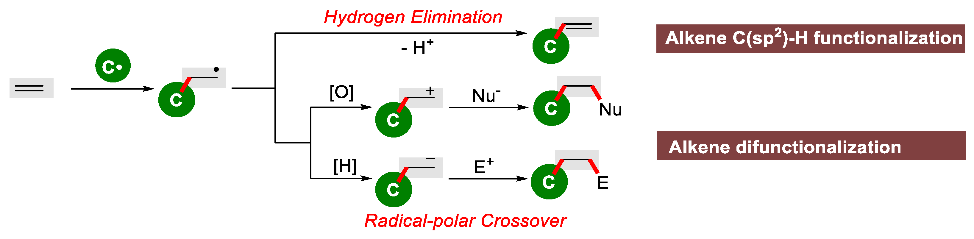 Catalysts 15 00461 g001