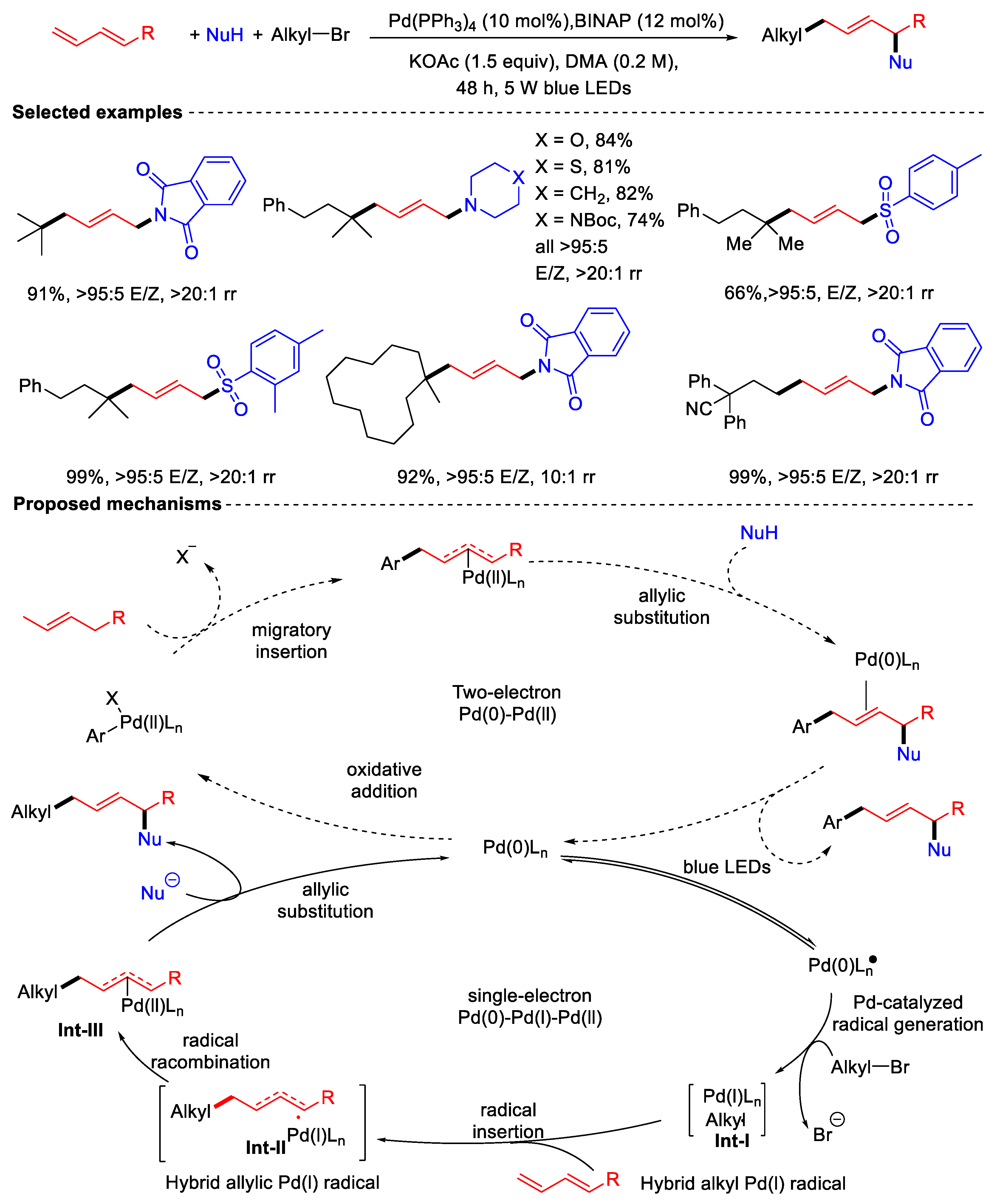 Catalysts 15 00461 sch021