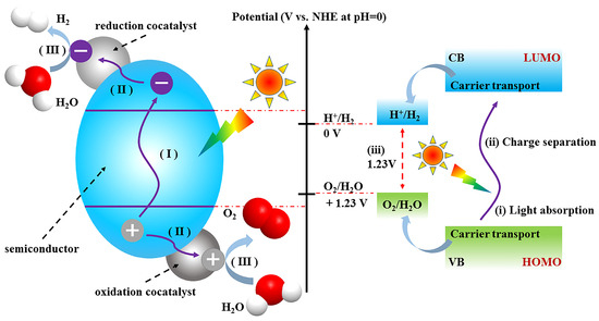 品質は非常に良い Supramolecular Perylene Diimides for Photocatalytic Hydrogen その他