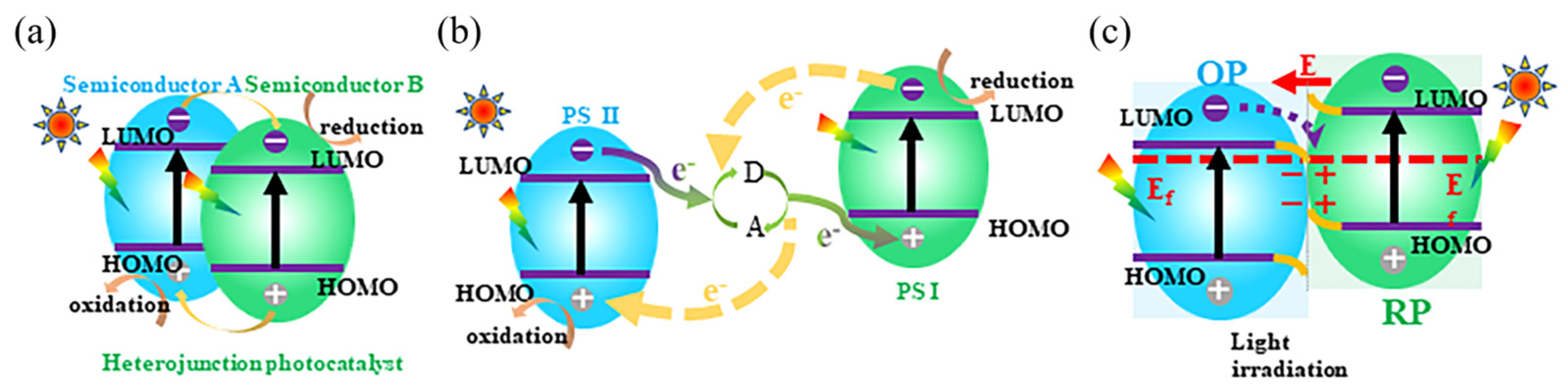 Catalysts 15 00463 g005