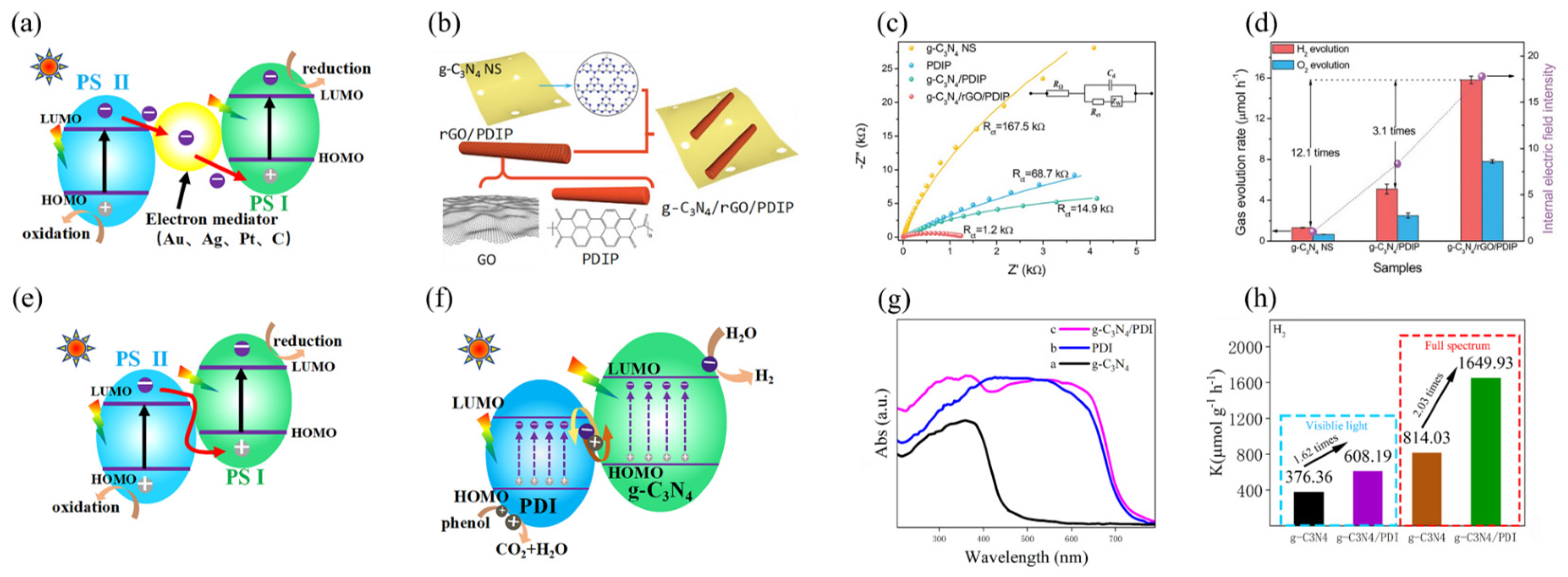 Catalysts 15 00463 g007