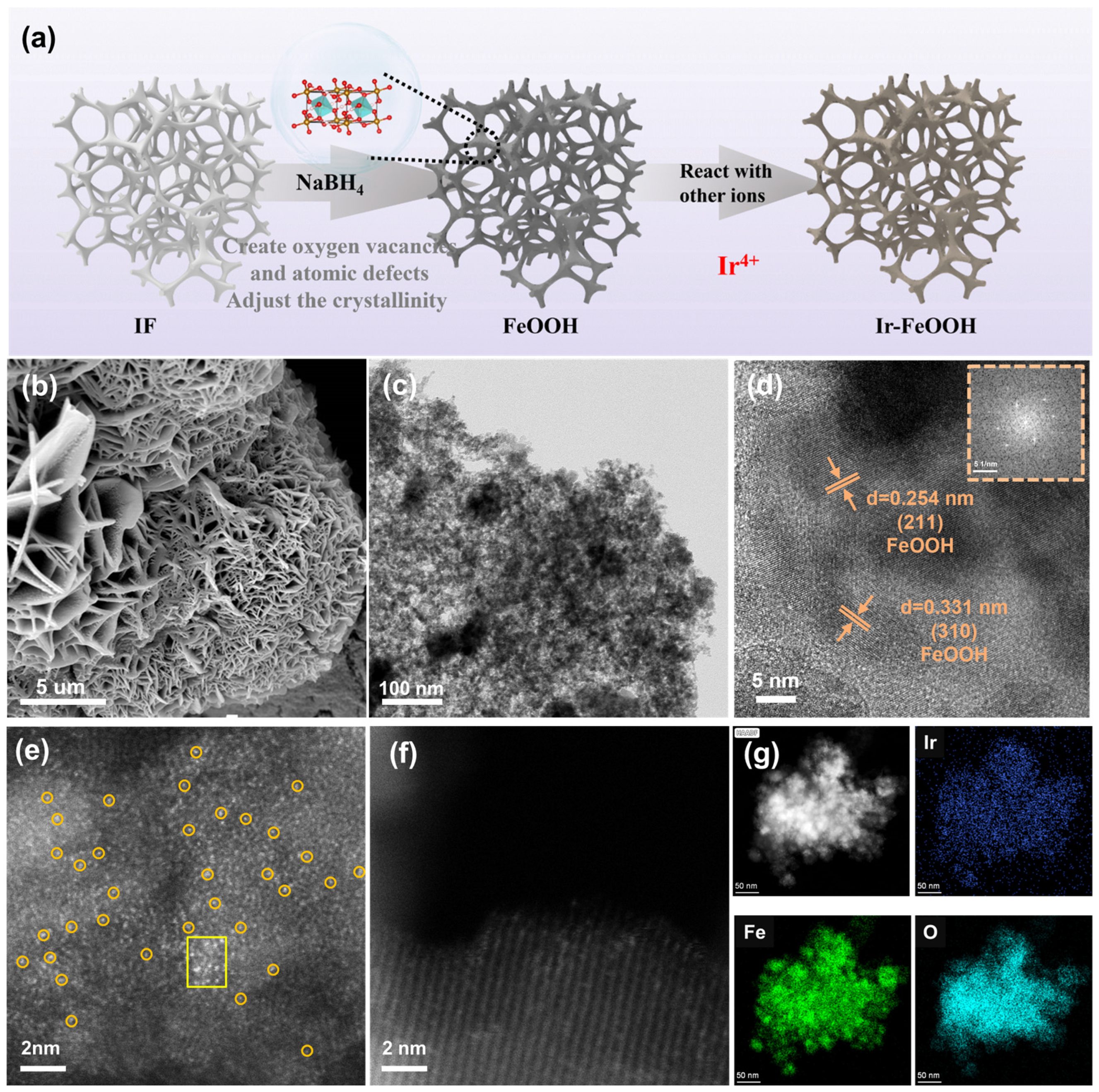 Catalysts 15 00464 g001