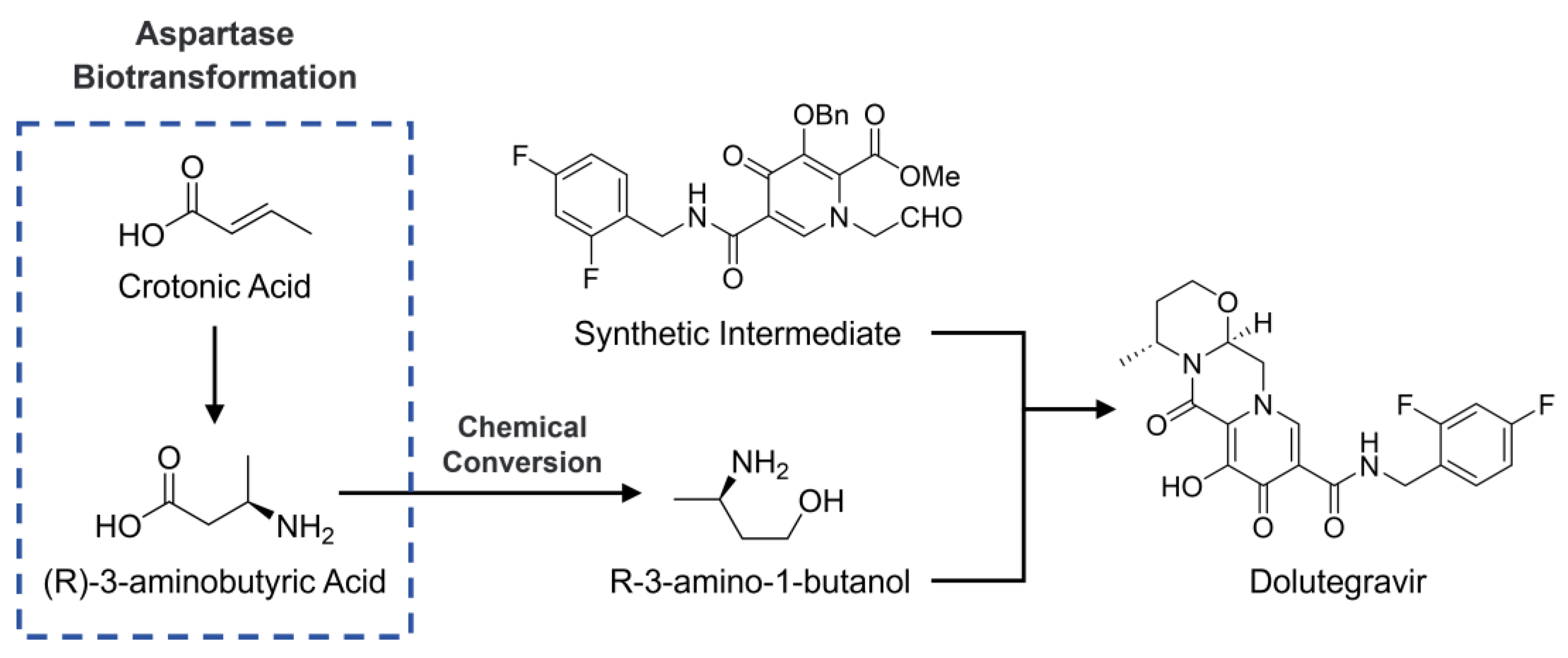 Catalysts 15 00466 g001