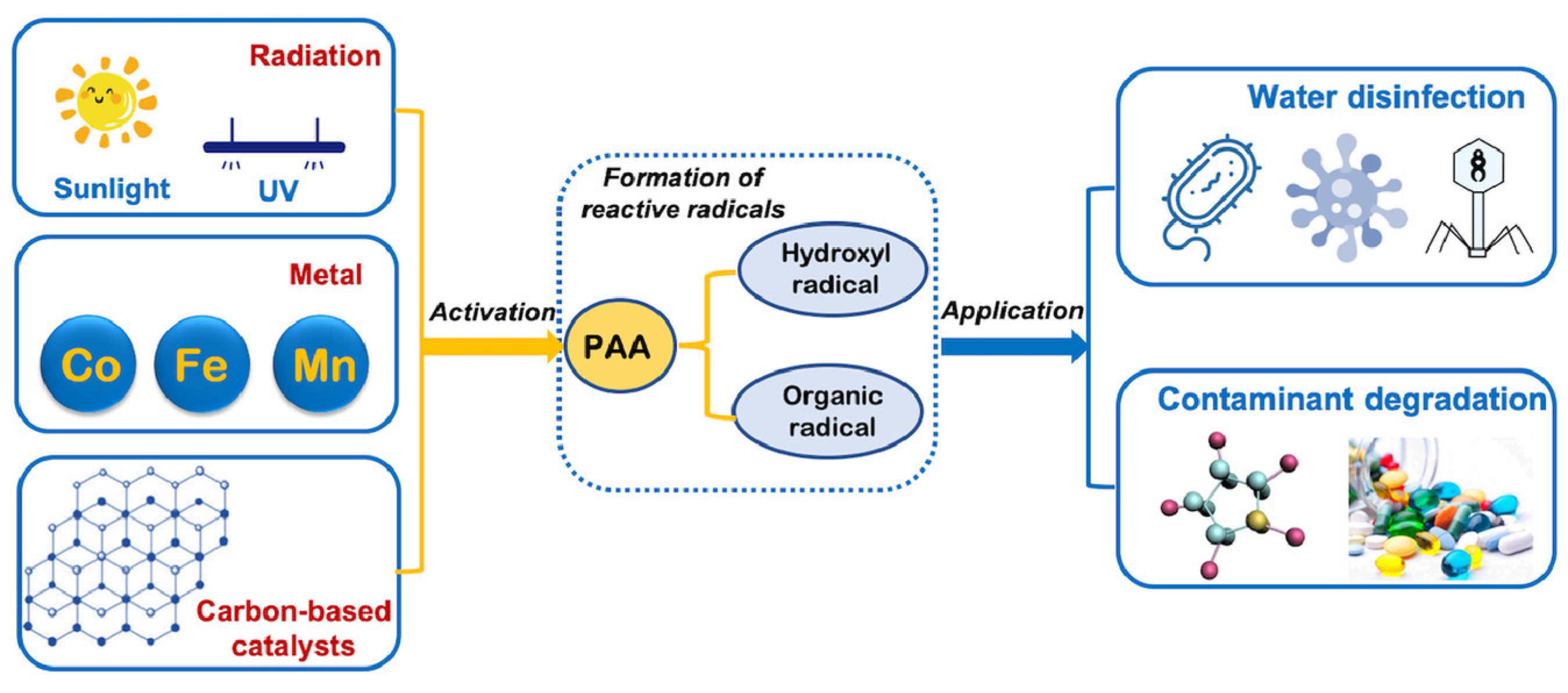 Catalysts 15 00469 g001