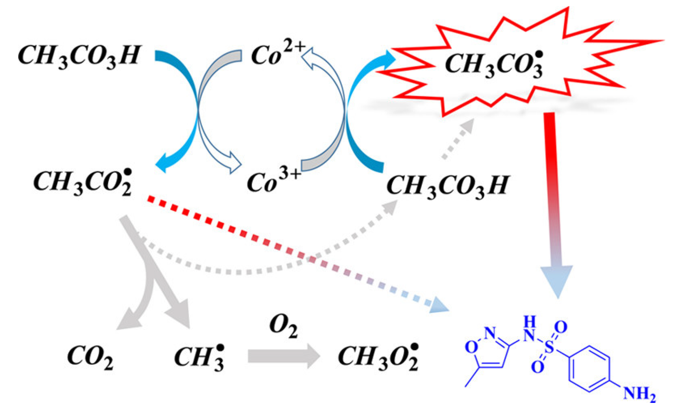 Catalysts 15 00469 g002
