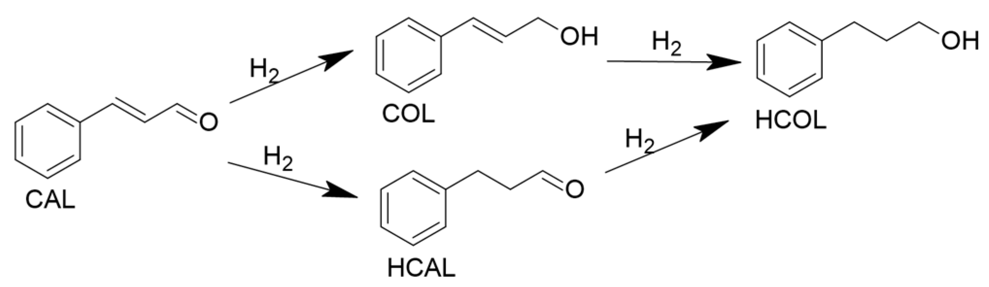 Catalysts 15 00470 g001