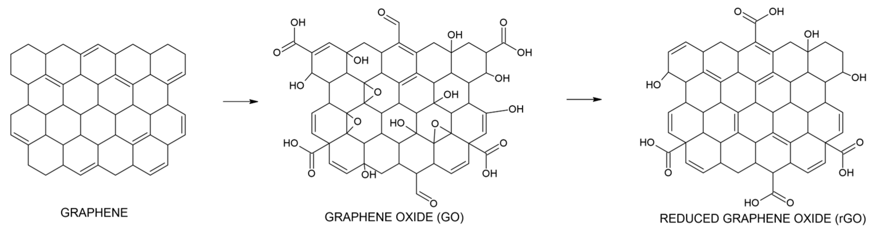 Catalysts 15 00470 g002