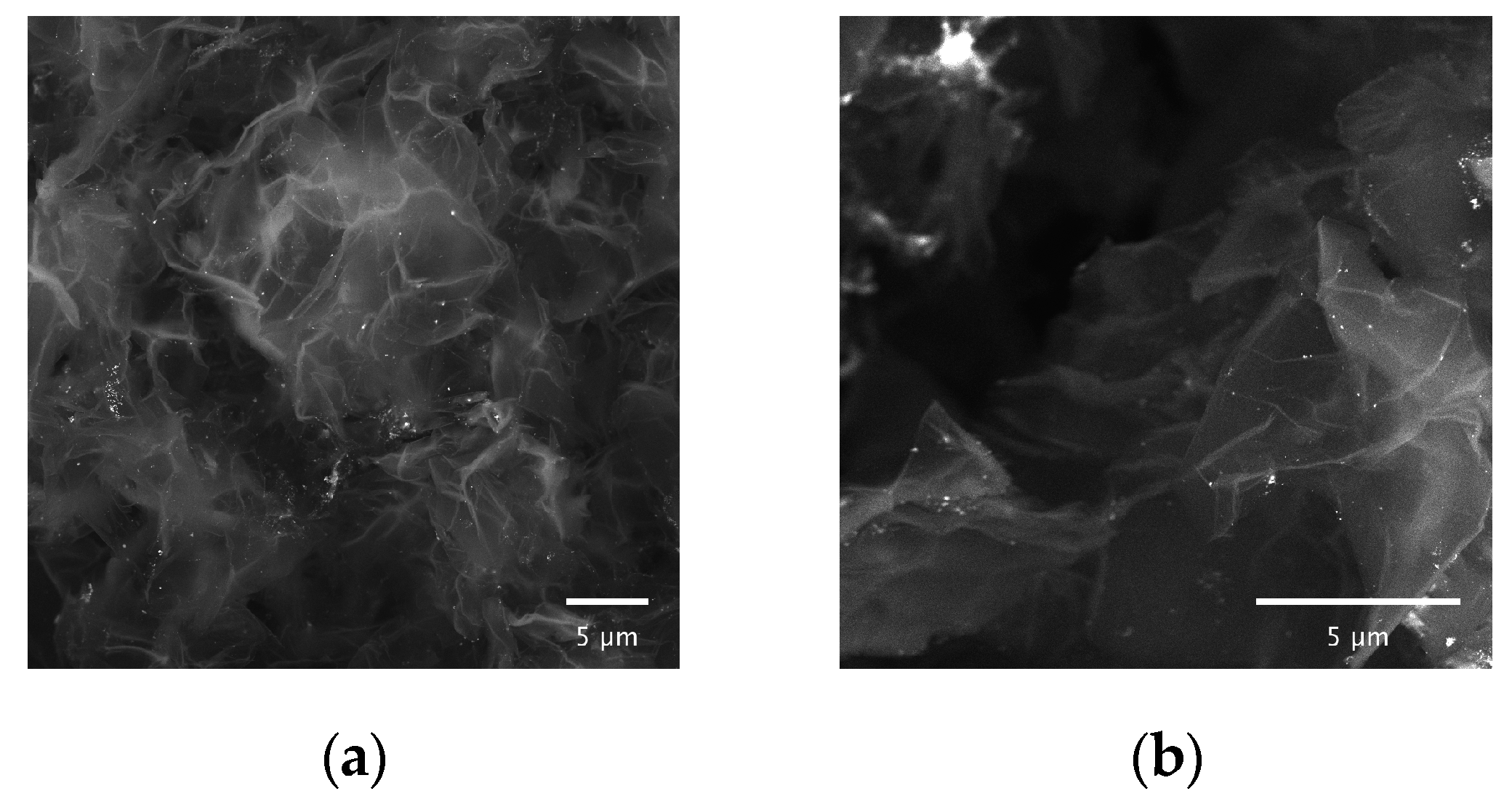 Catalysts 15 00470 g005