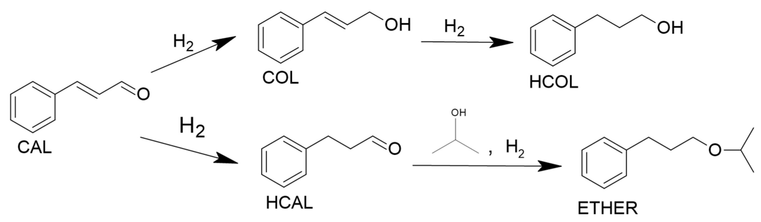 Catalysts 15 00470 g011