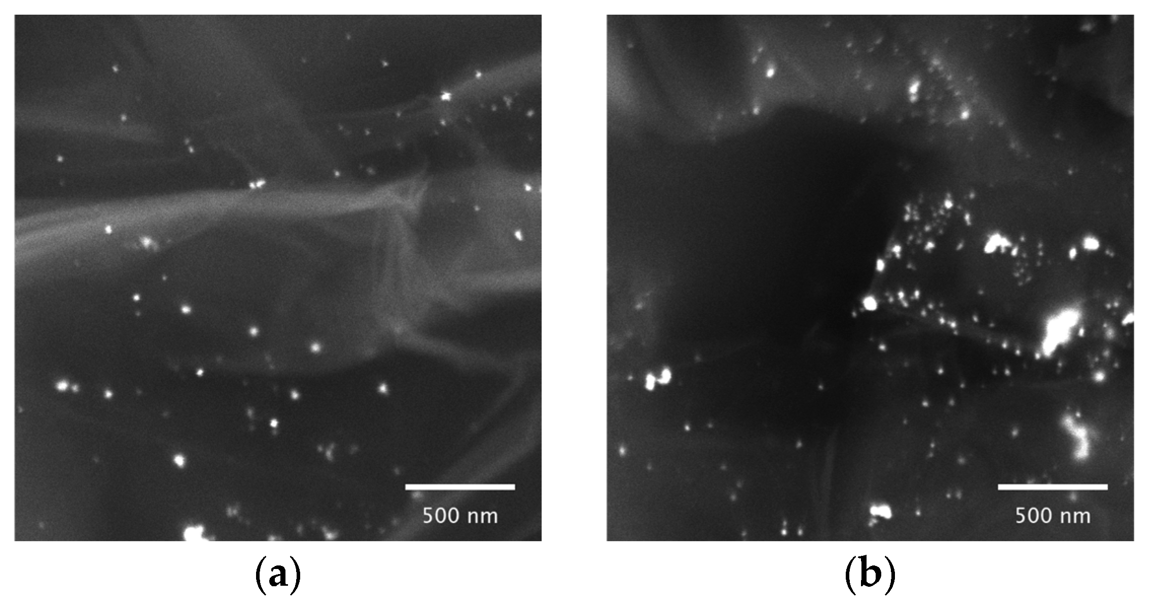 Catalysts 15 00470 g014