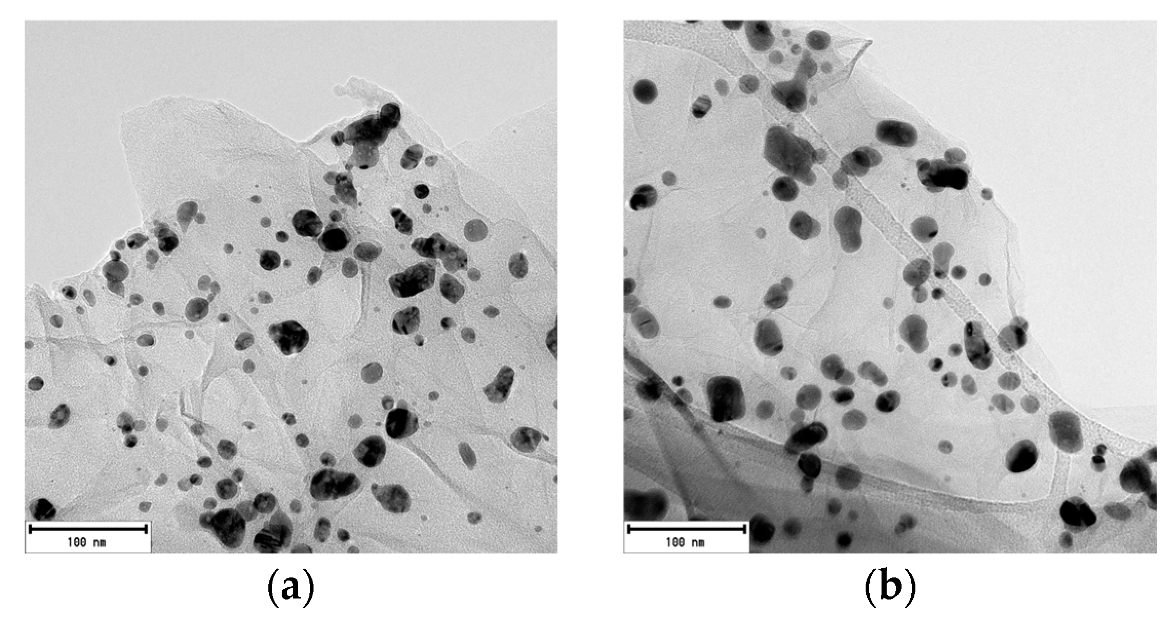 Catalysts 15 00470 g015