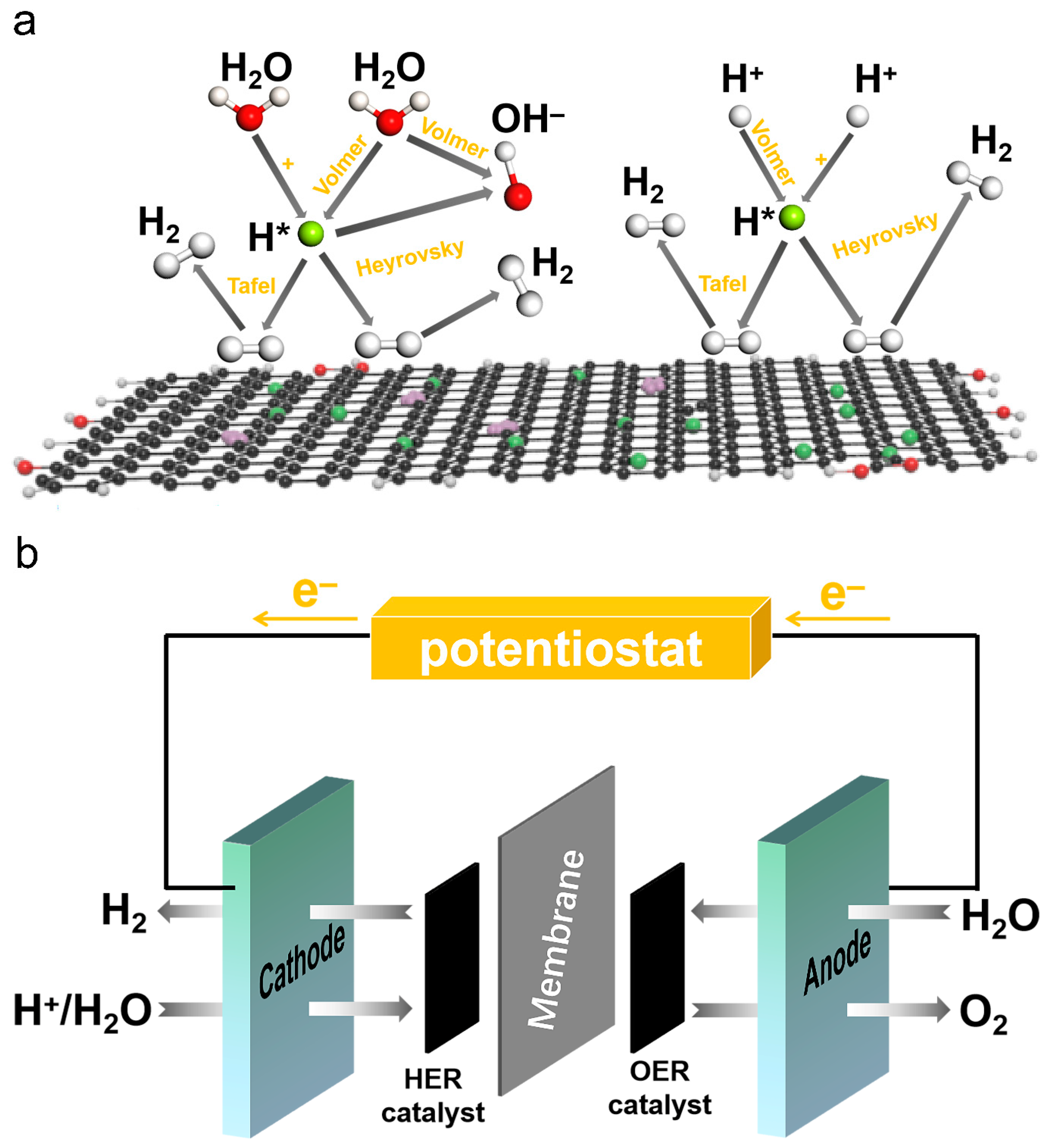 Catalysts 15 00475 g005