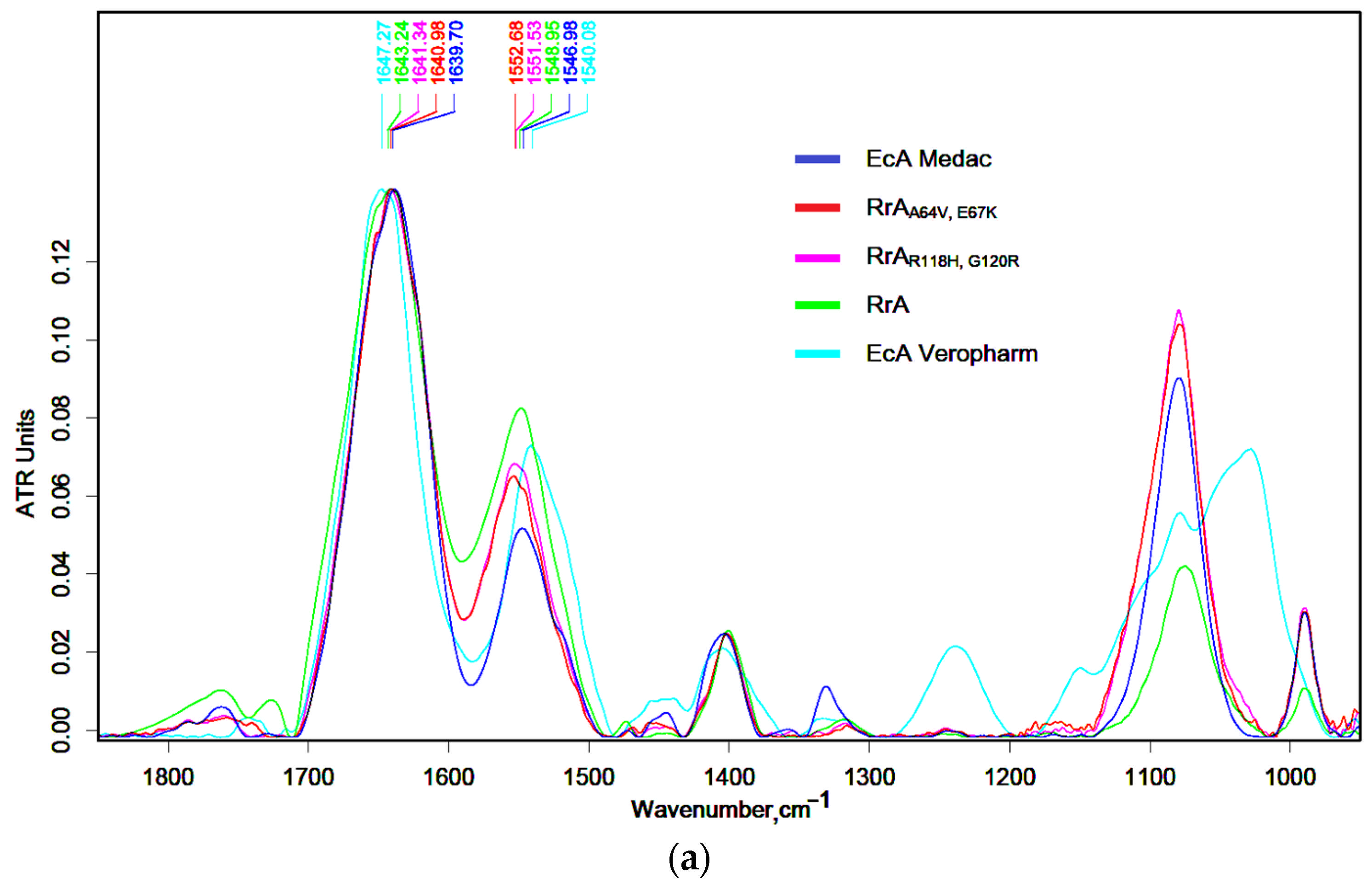 Catalysts 15 00476 g001a Catalysts 15 00476 g001a