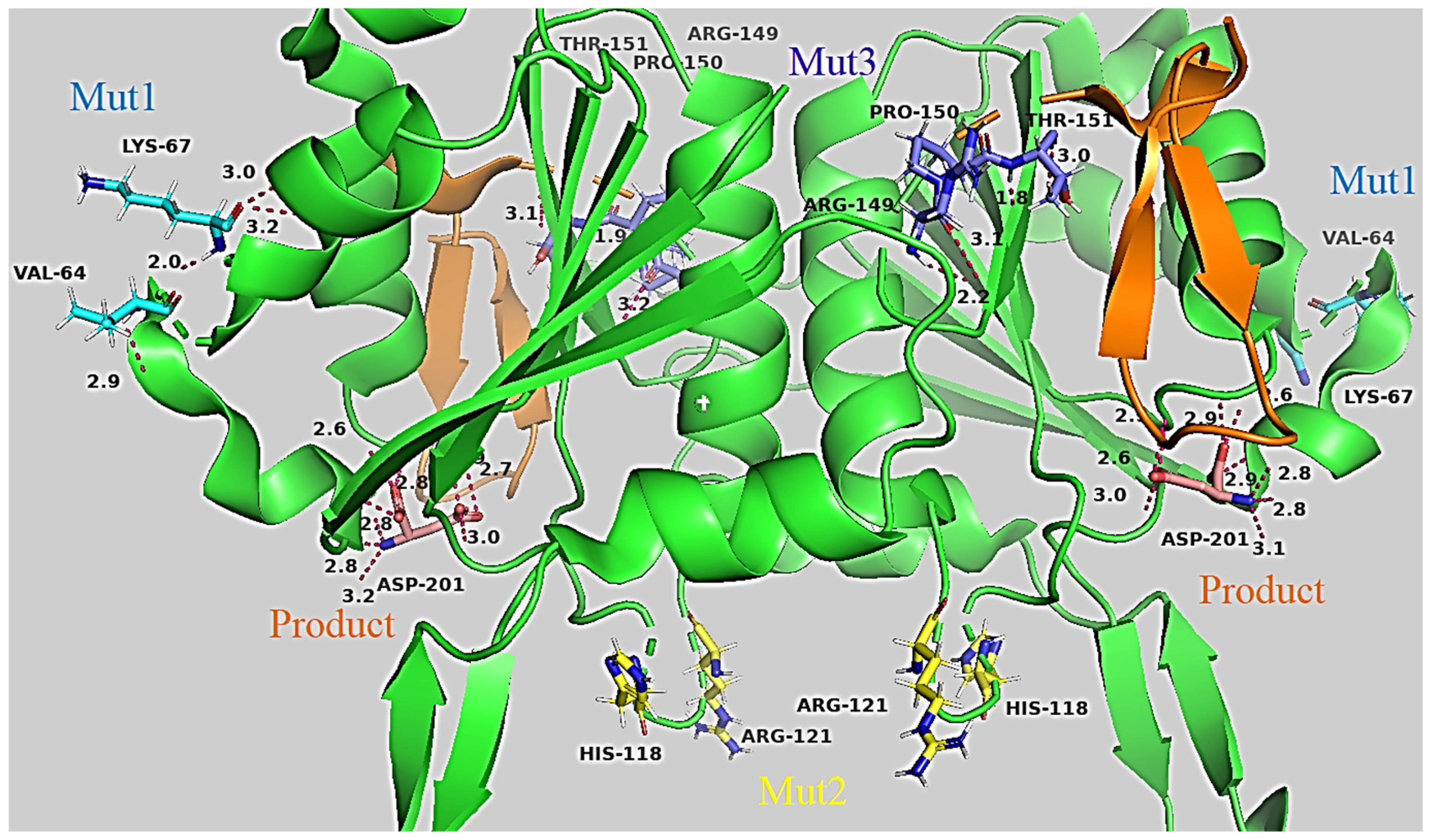 Catalysts 15 00476 g002 Catalysts 15 00476 g002
