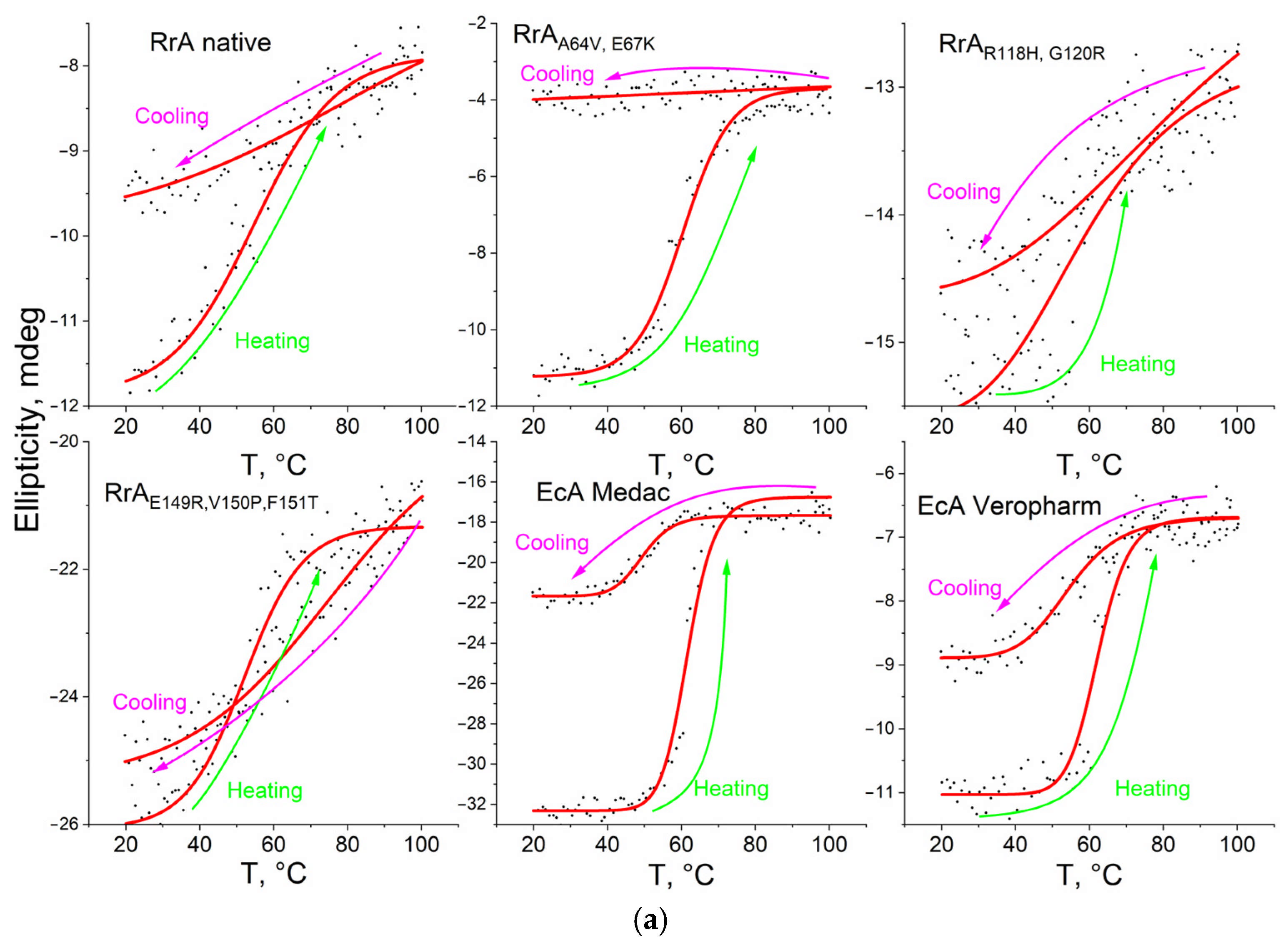 Catalysts 15 00476 g005a Catalysts 15 00476 g005a