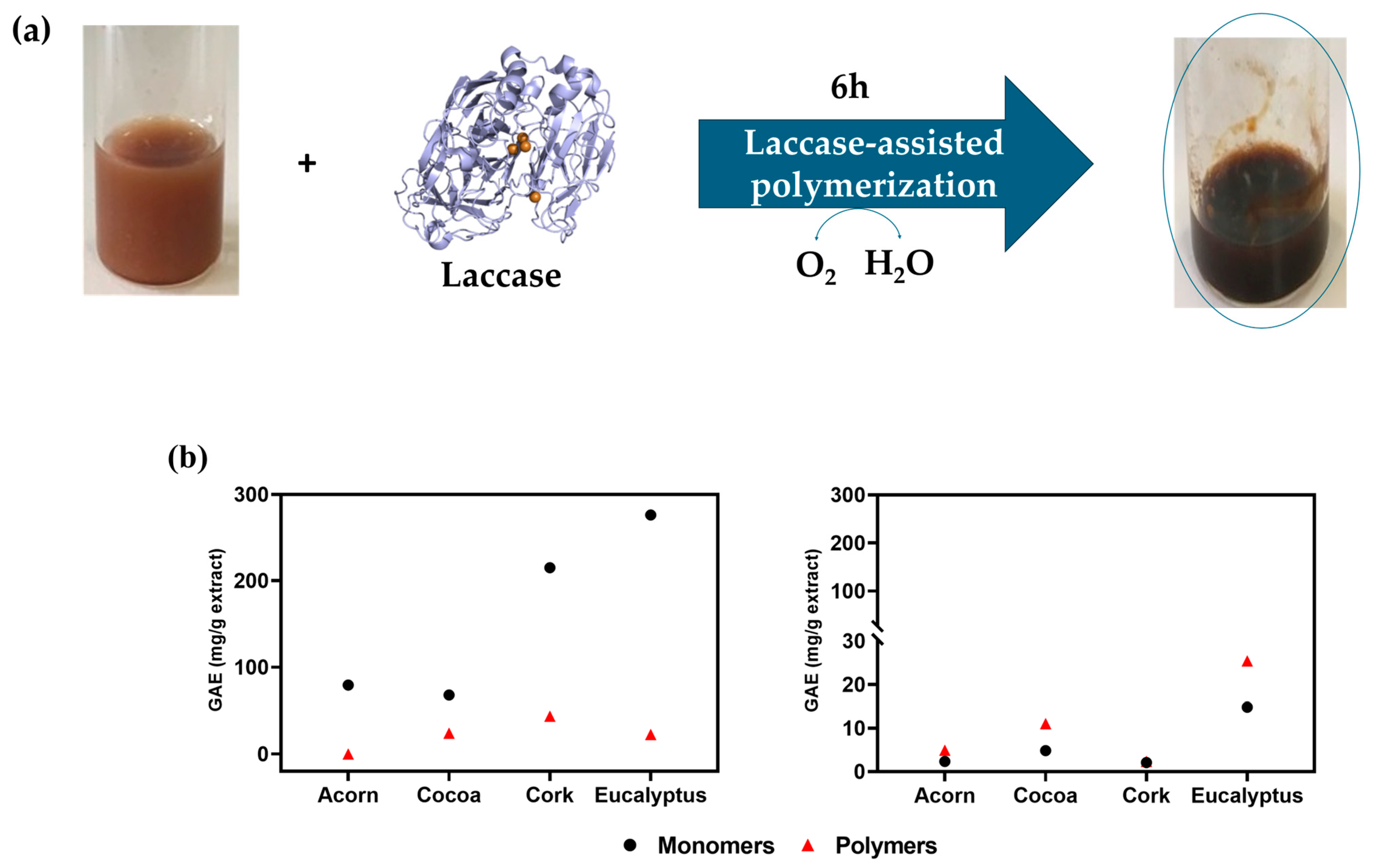 Catalysts 15 00481 g004