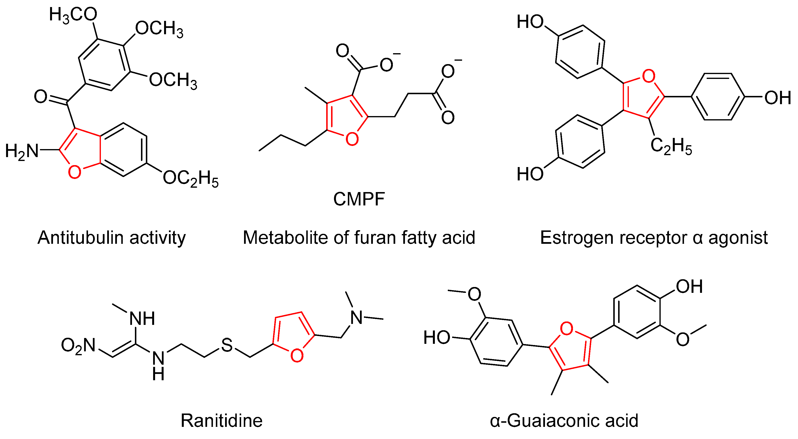Catalysts 15 00482 g001