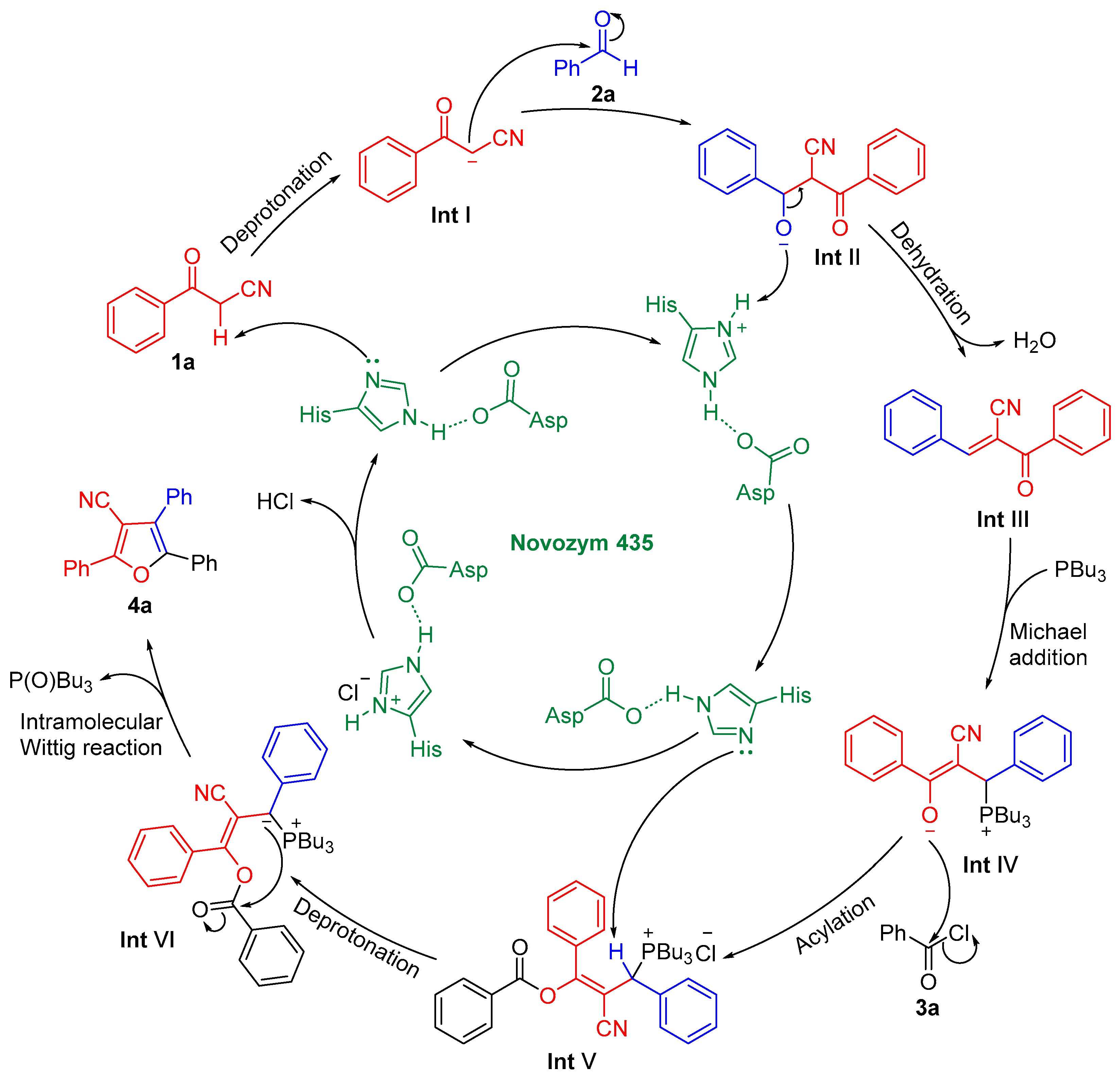 Catalysts 15 00482 g005