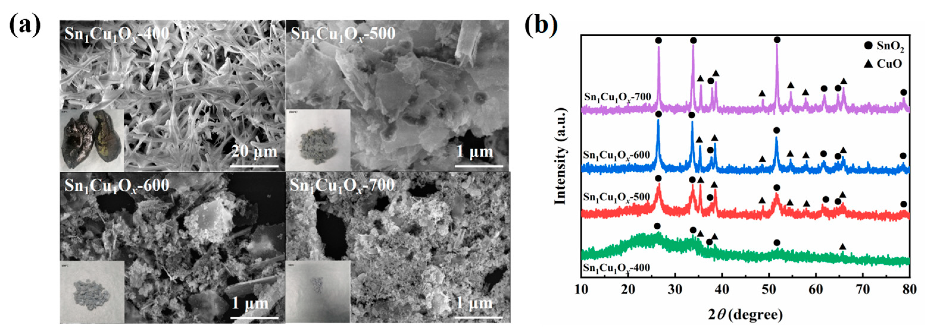 Catalysts 15 00484 g002