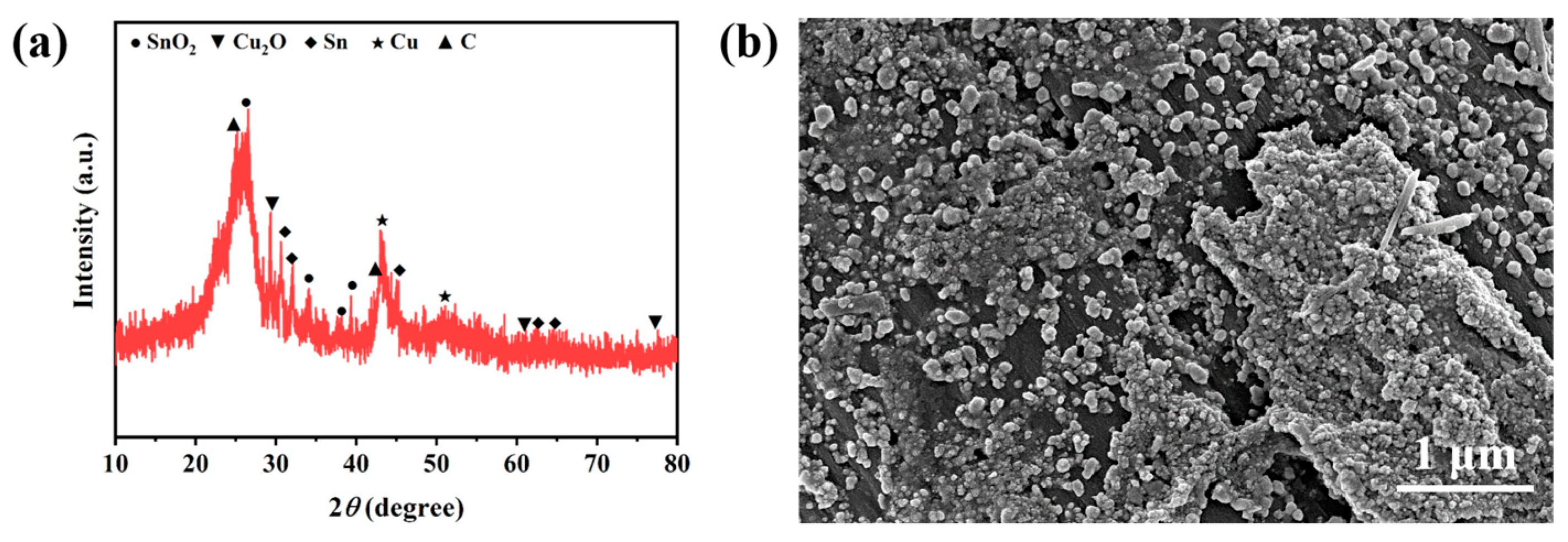 Catalysts 15 00484 g004