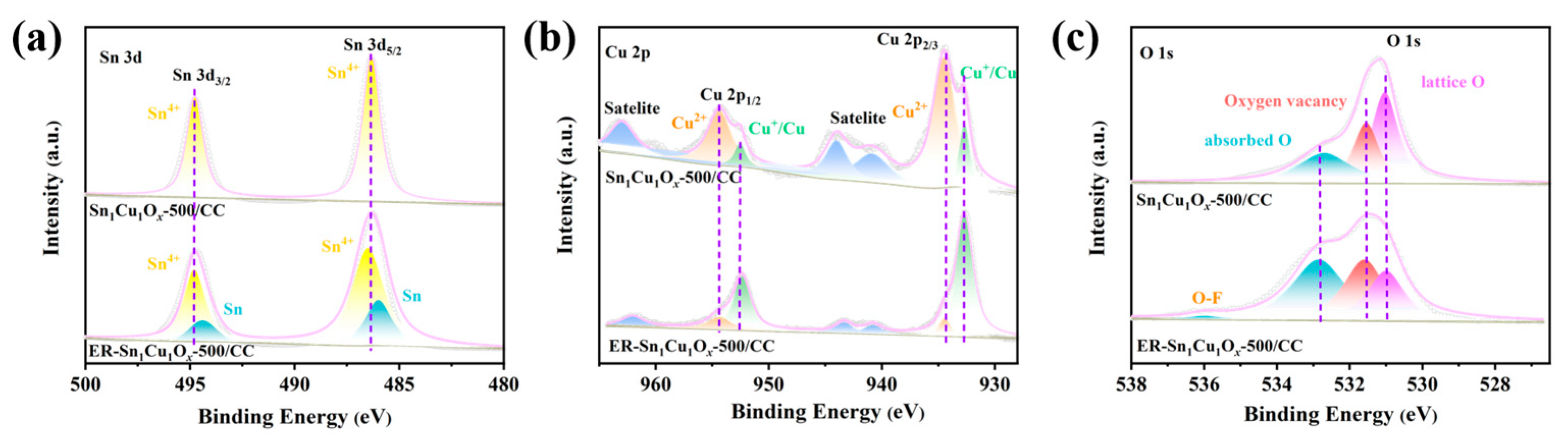 Catalysts 15 00484 g005