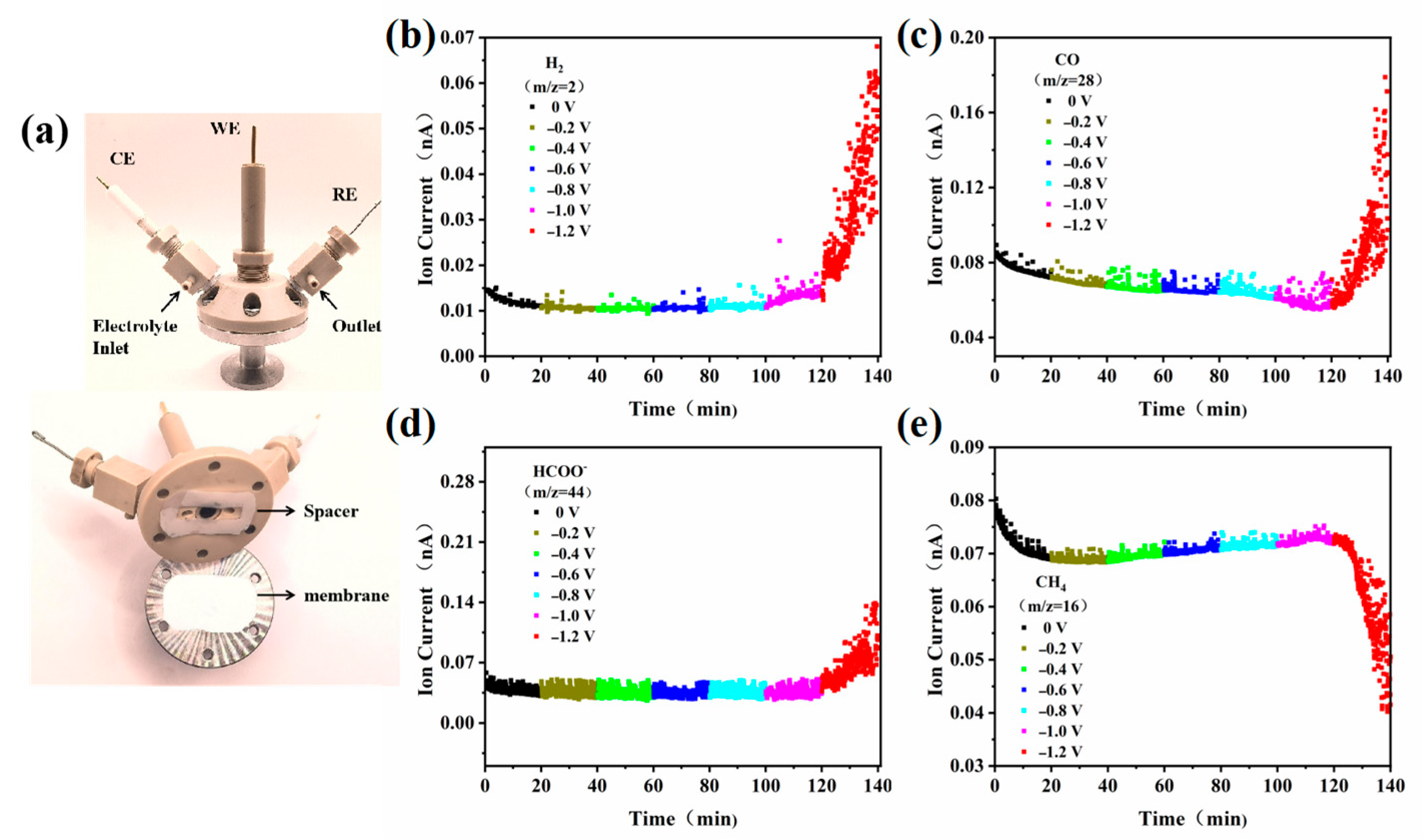 Catalysts 15 00484 g007