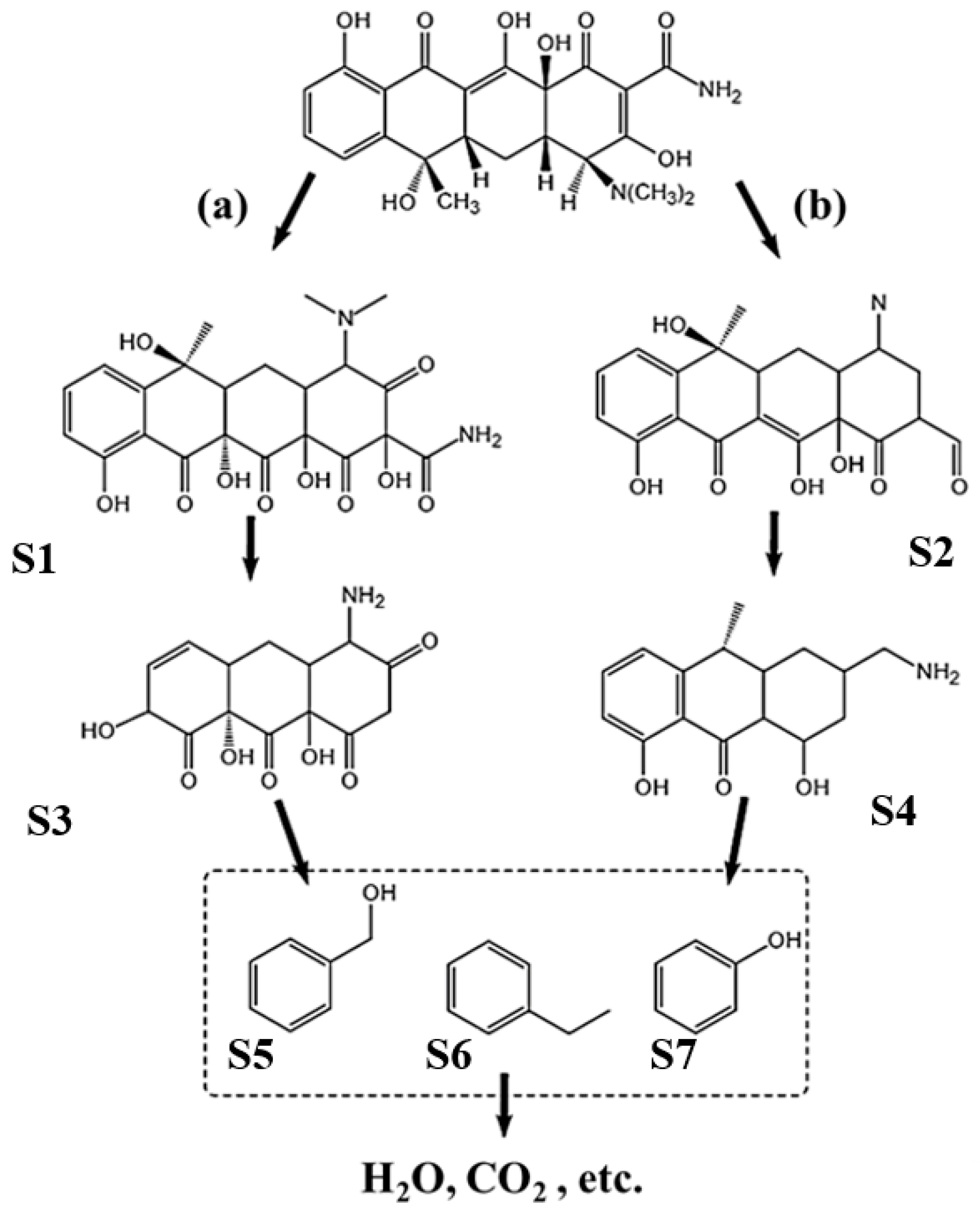 Catalysts 15 00486 g007