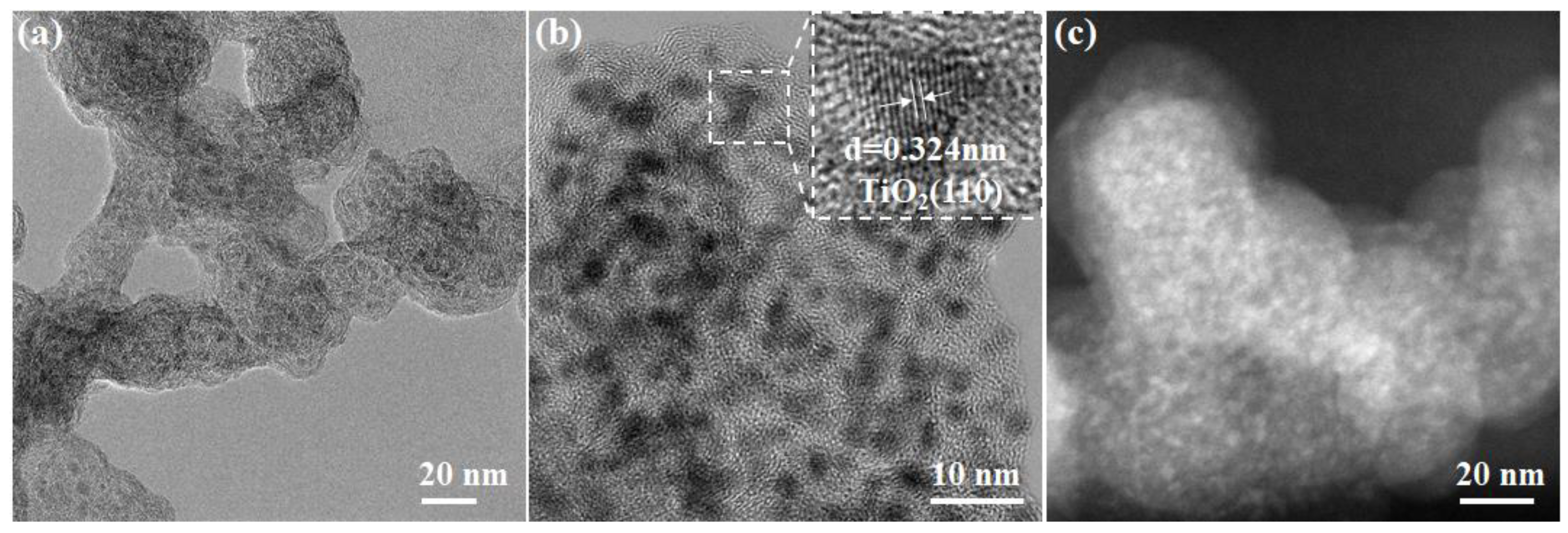 Catalysts 15 00487 g003