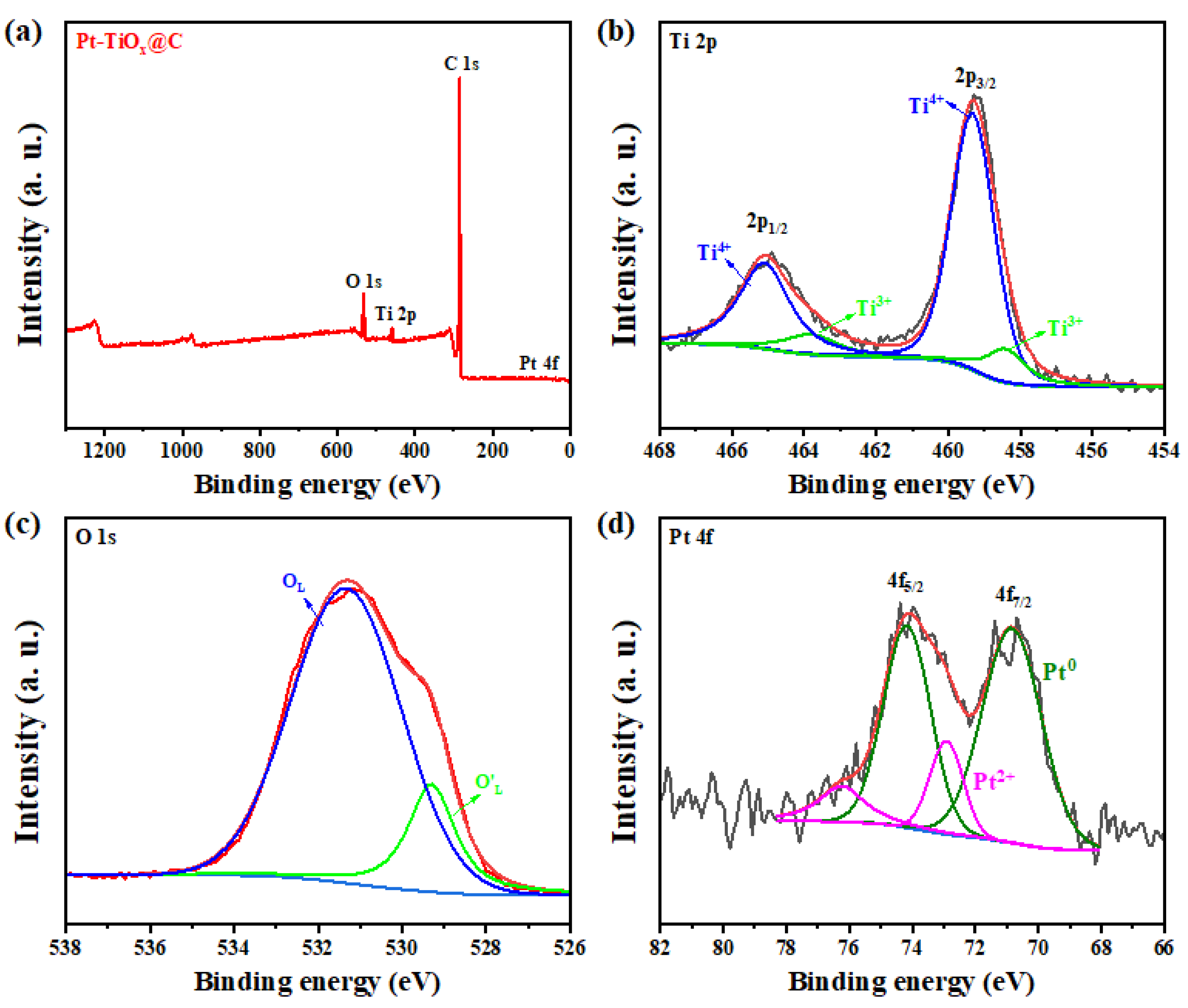 Catalysts 15 00487 g004