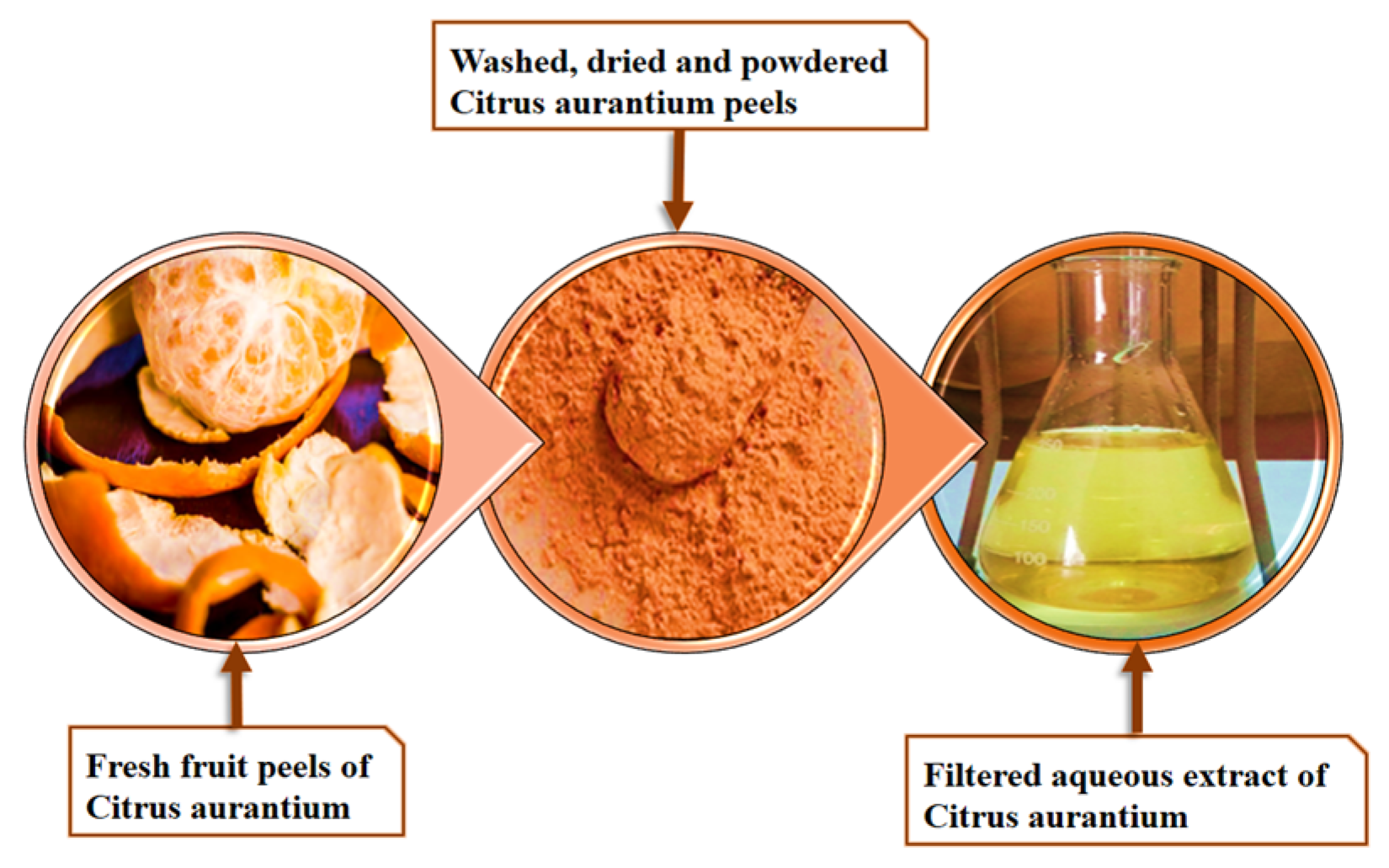 Catalysts 15 00489 g007