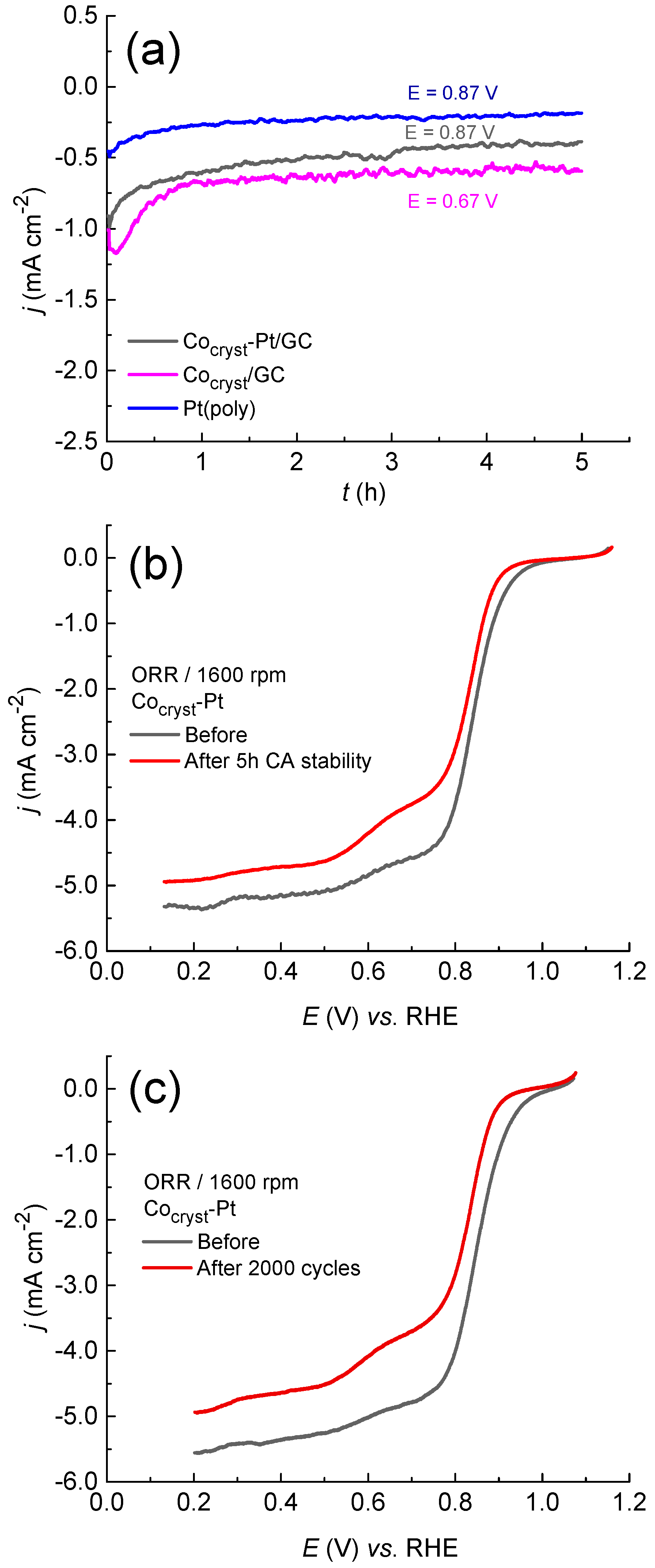 Catalysts 15 00490 g007