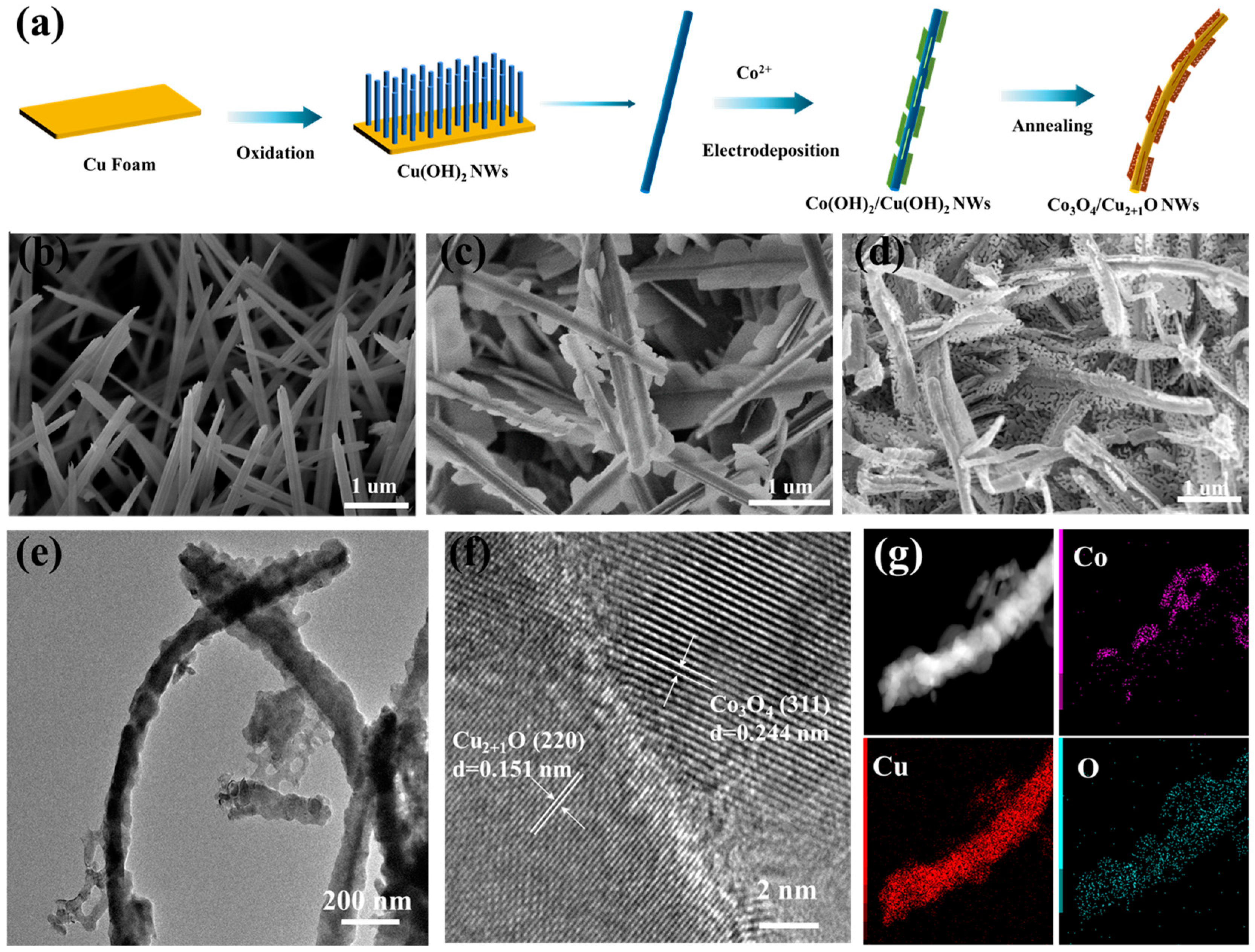 Catalysts 15 00491 g001