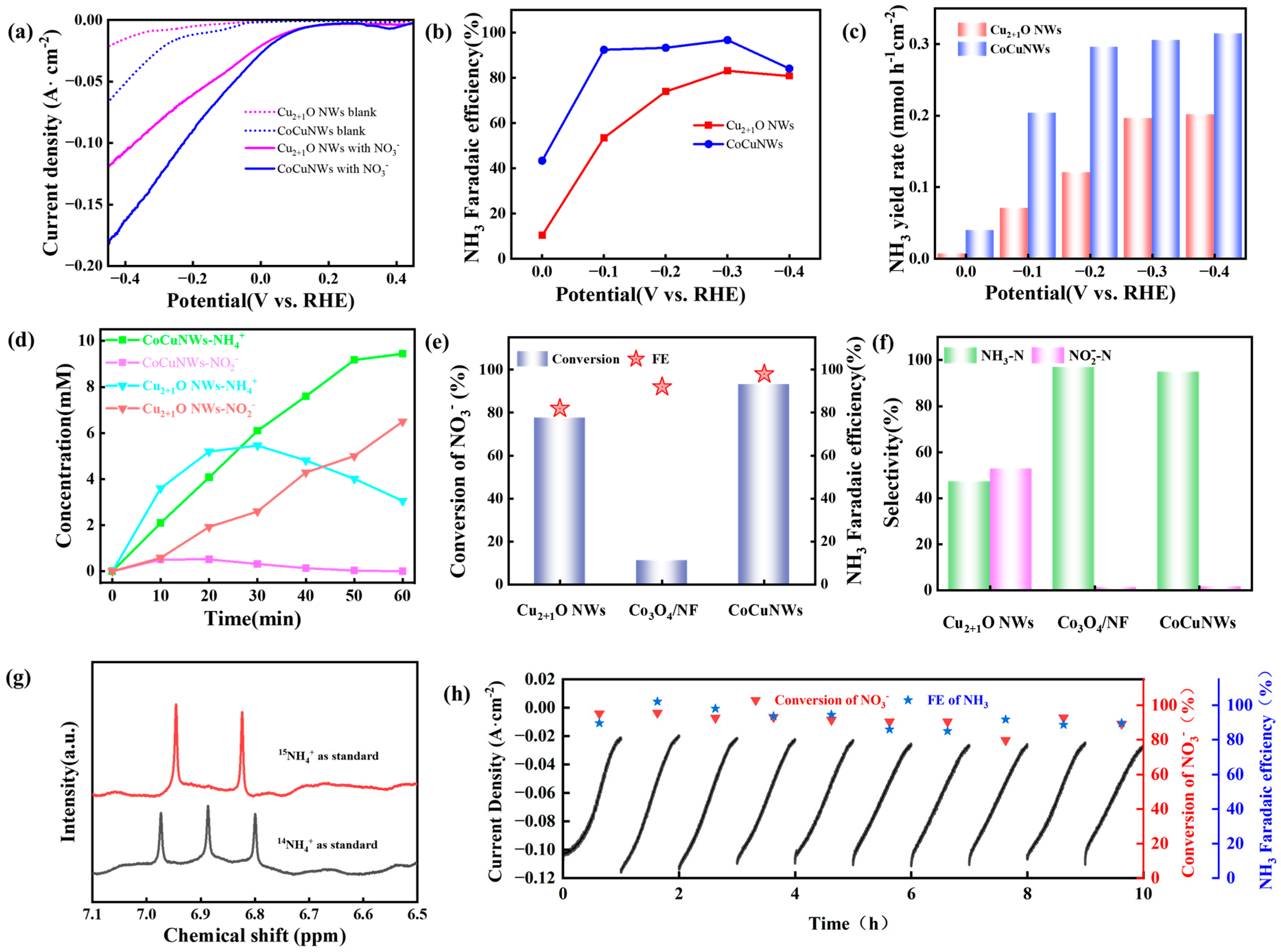 Catalysts 15 00491 g004
