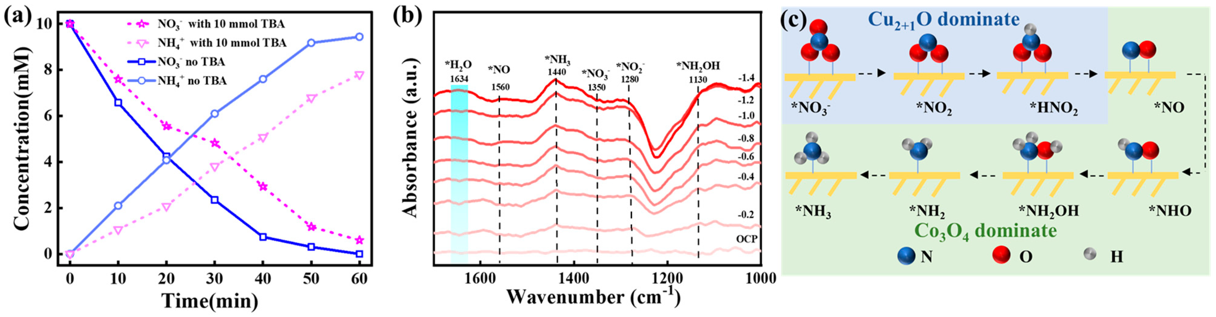 Catalysts 15 00491 g006