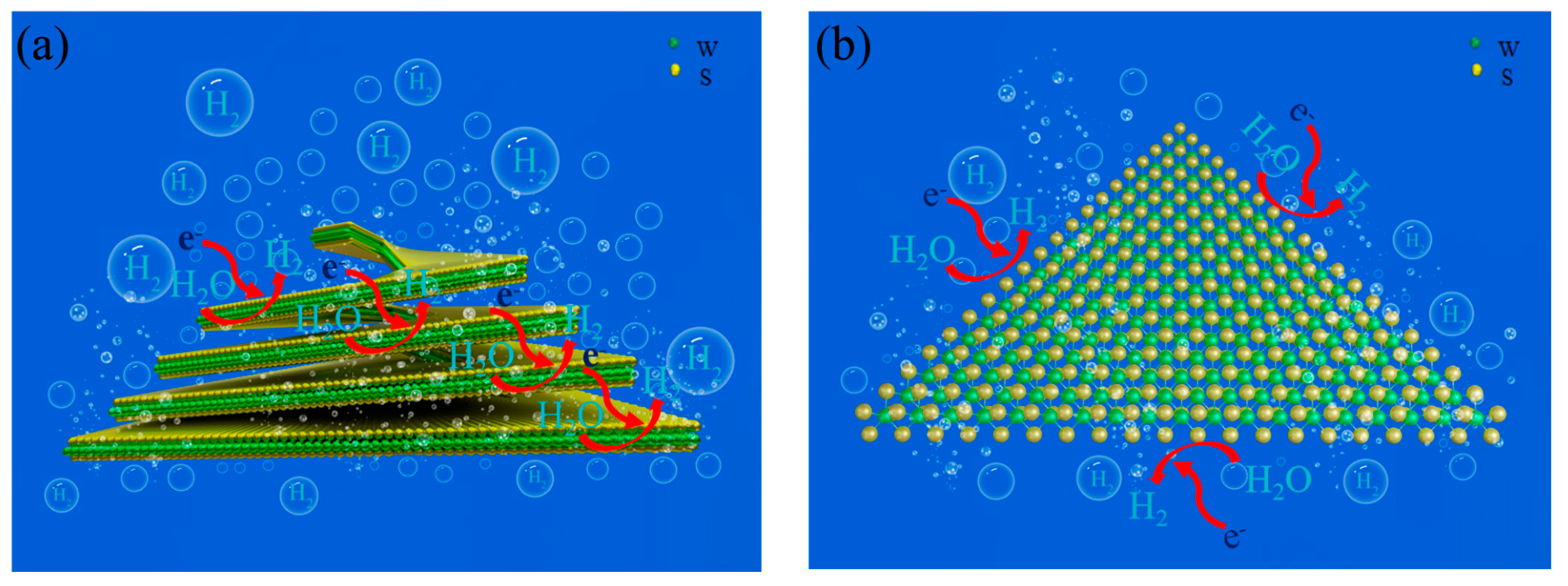 Catalysts 15 00496 g004
